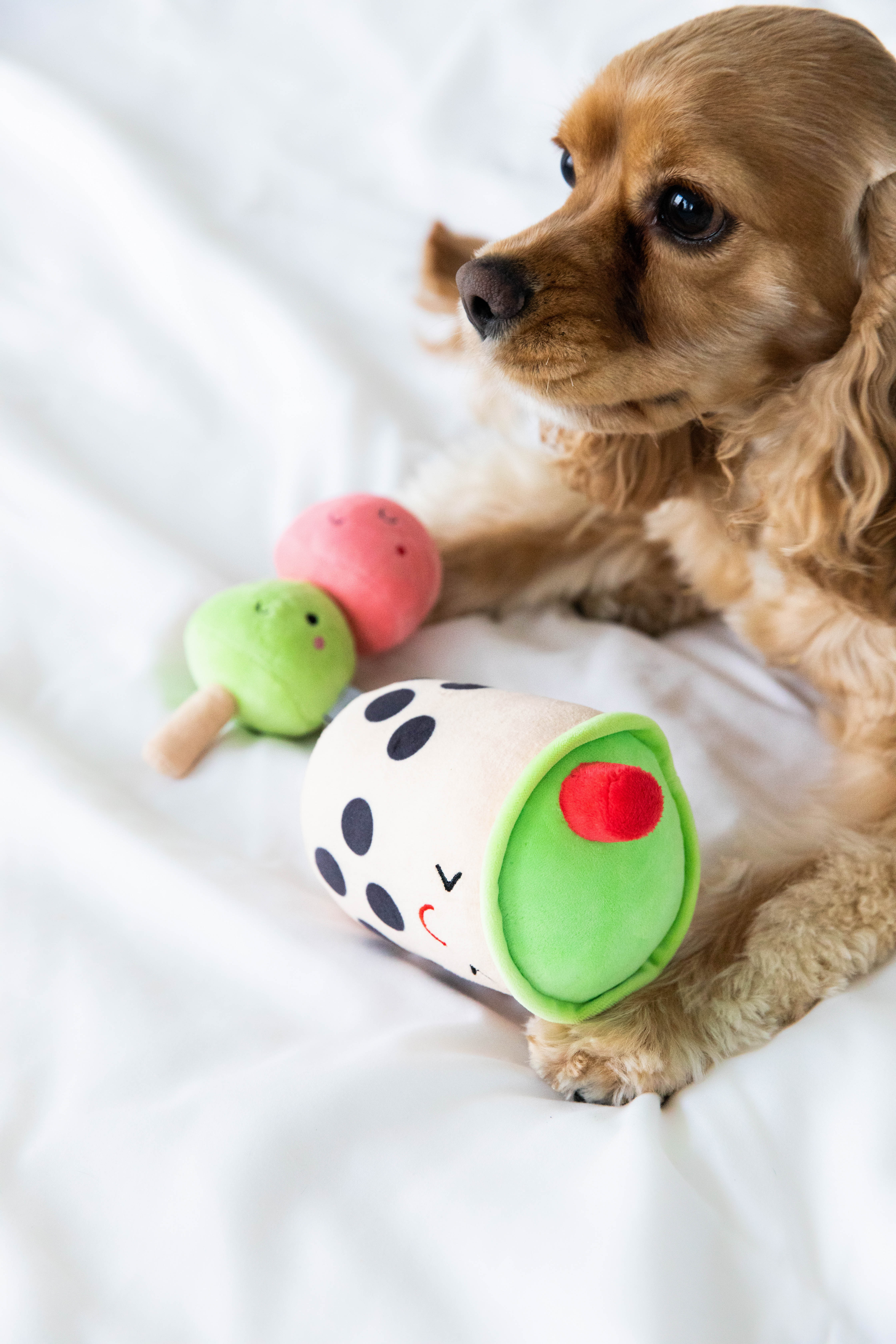 Bubble Tea Dog Toys Multi - 6
