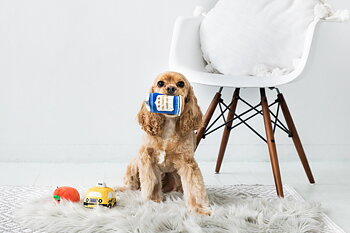 New Bark City Dog Toys Multi