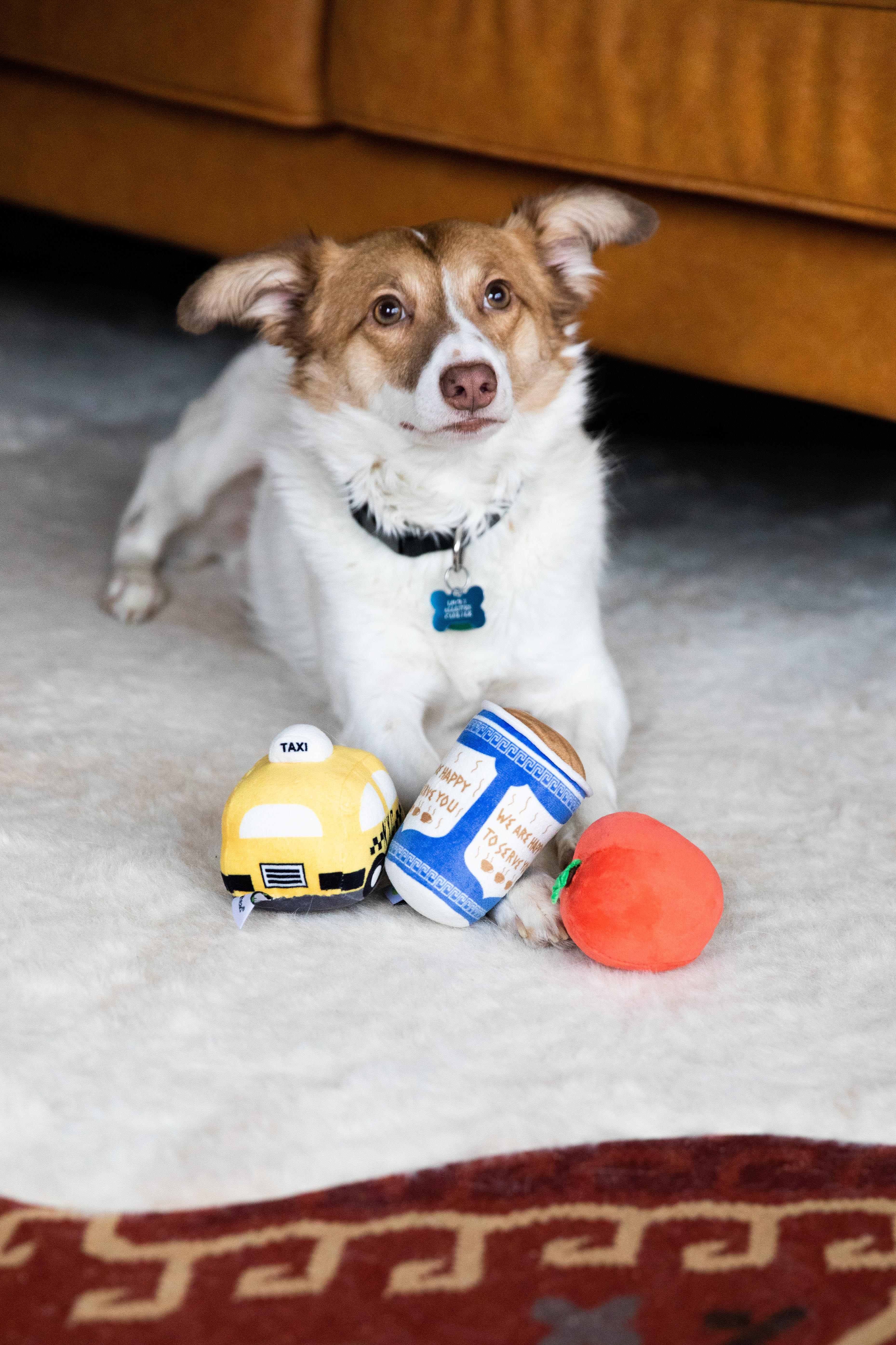 New Bark City Dog Toys Multi - 9