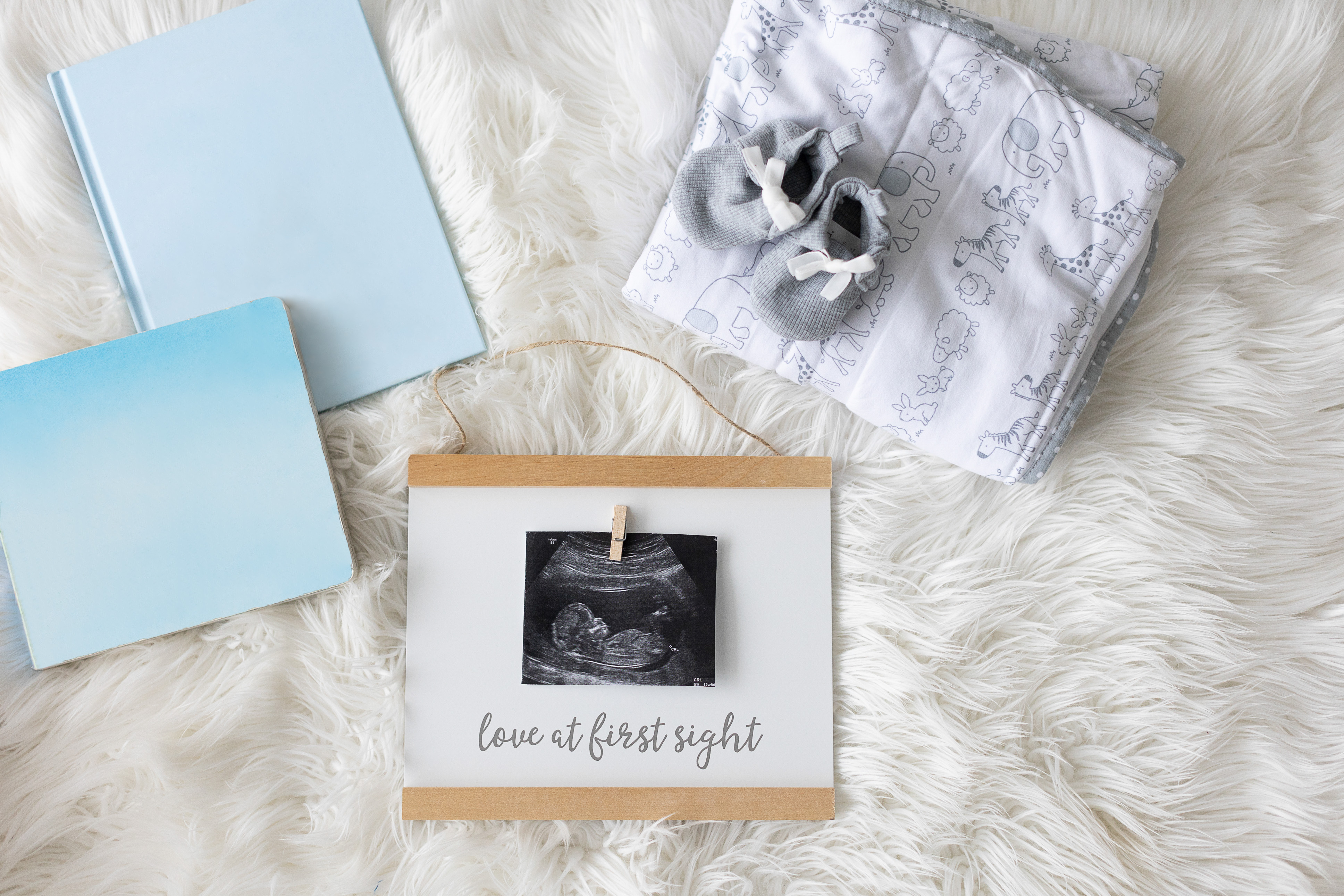 Sonogram Wall Art White - 5