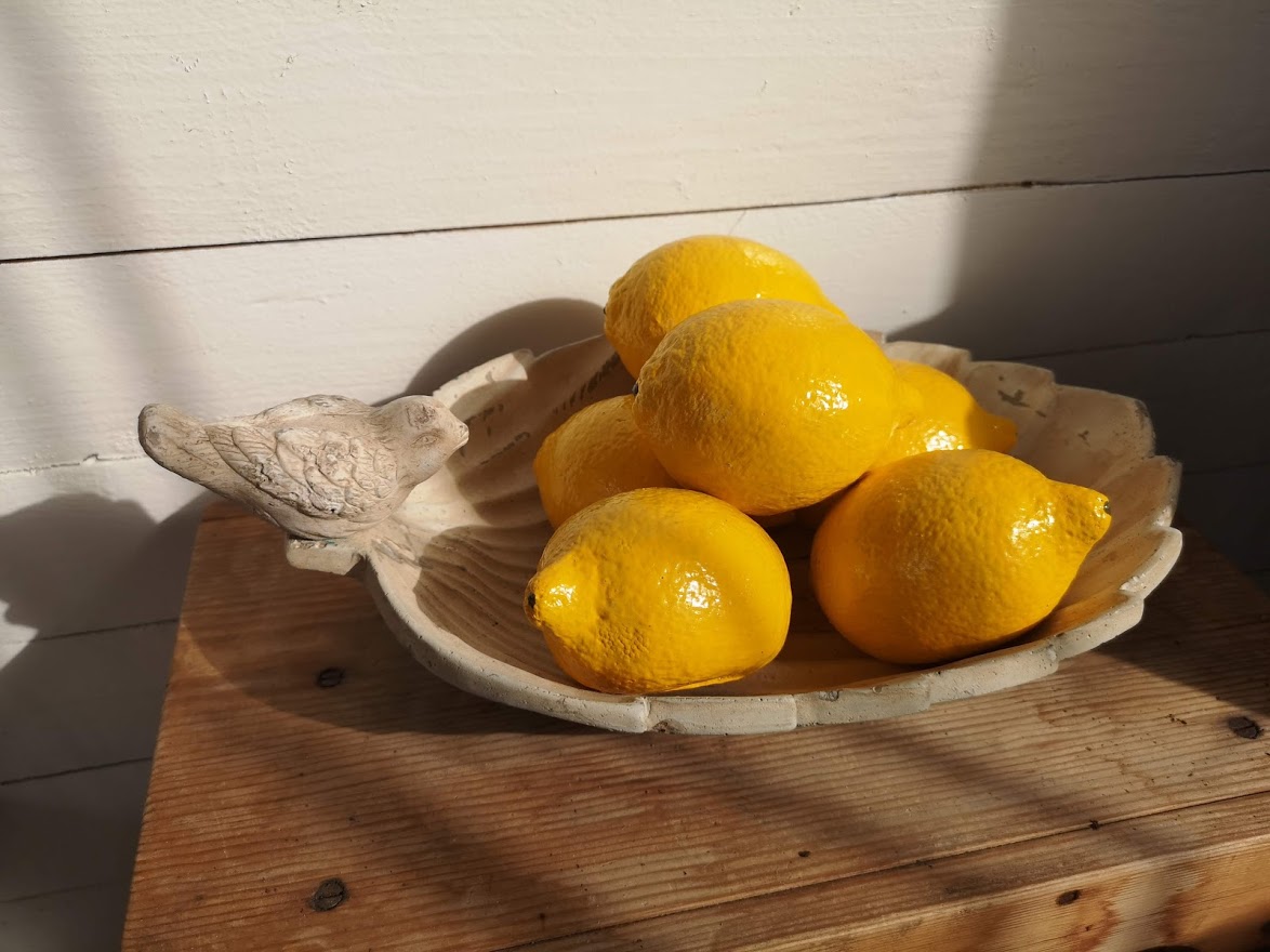  Gjutform till citron