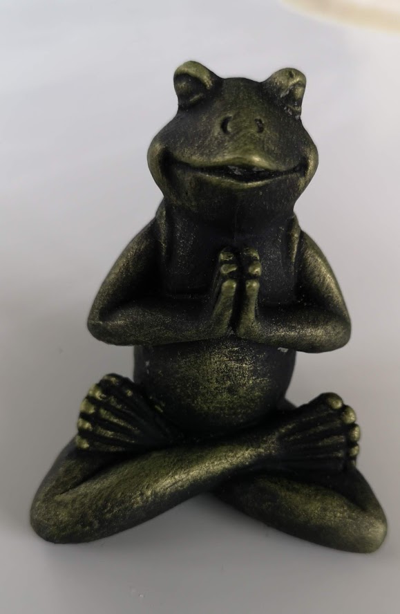 yoga groda