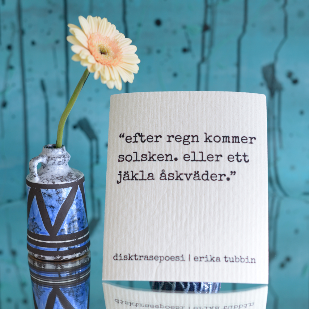 dishcloth ÅSKVÄDER - 3