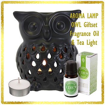 Aroma Lamp Oil Burner GIFT SET - Black Owl & Fragrance Oil & Tea Light