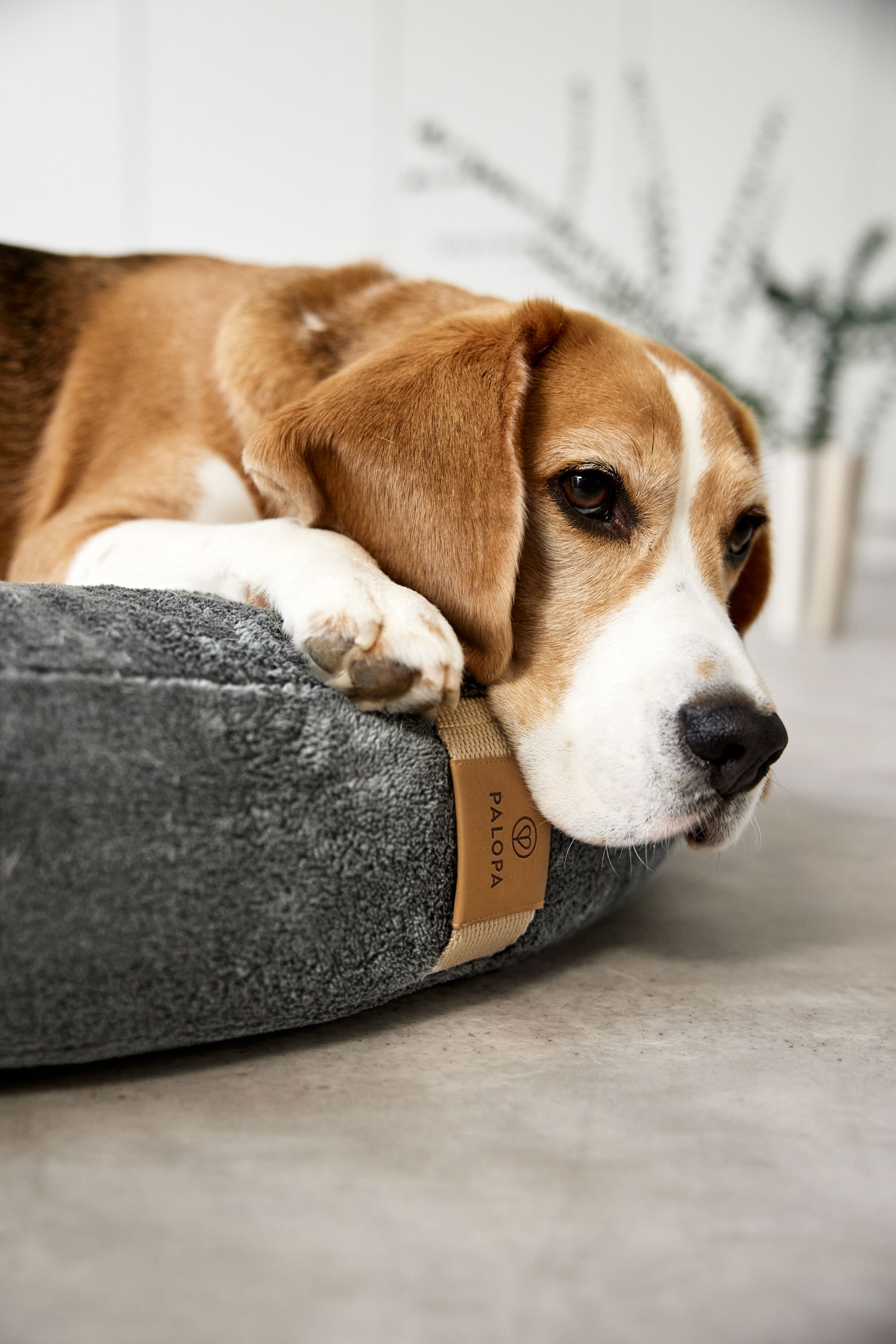 Palopa Dog Bed Donut Fippa anthracite M-L - 26