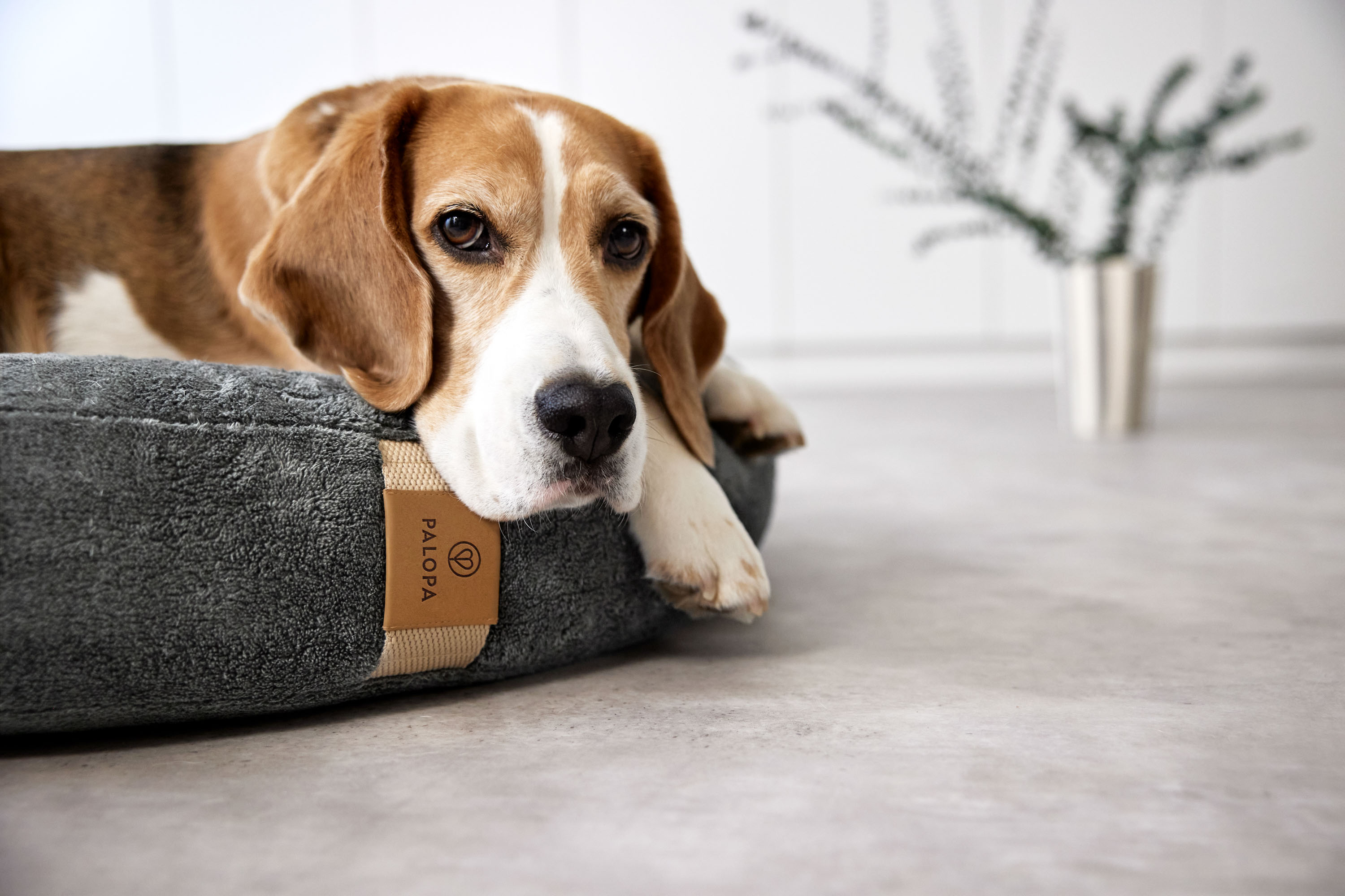 Palopa Dog Bed Donut Fippa anthracite M-L - 40