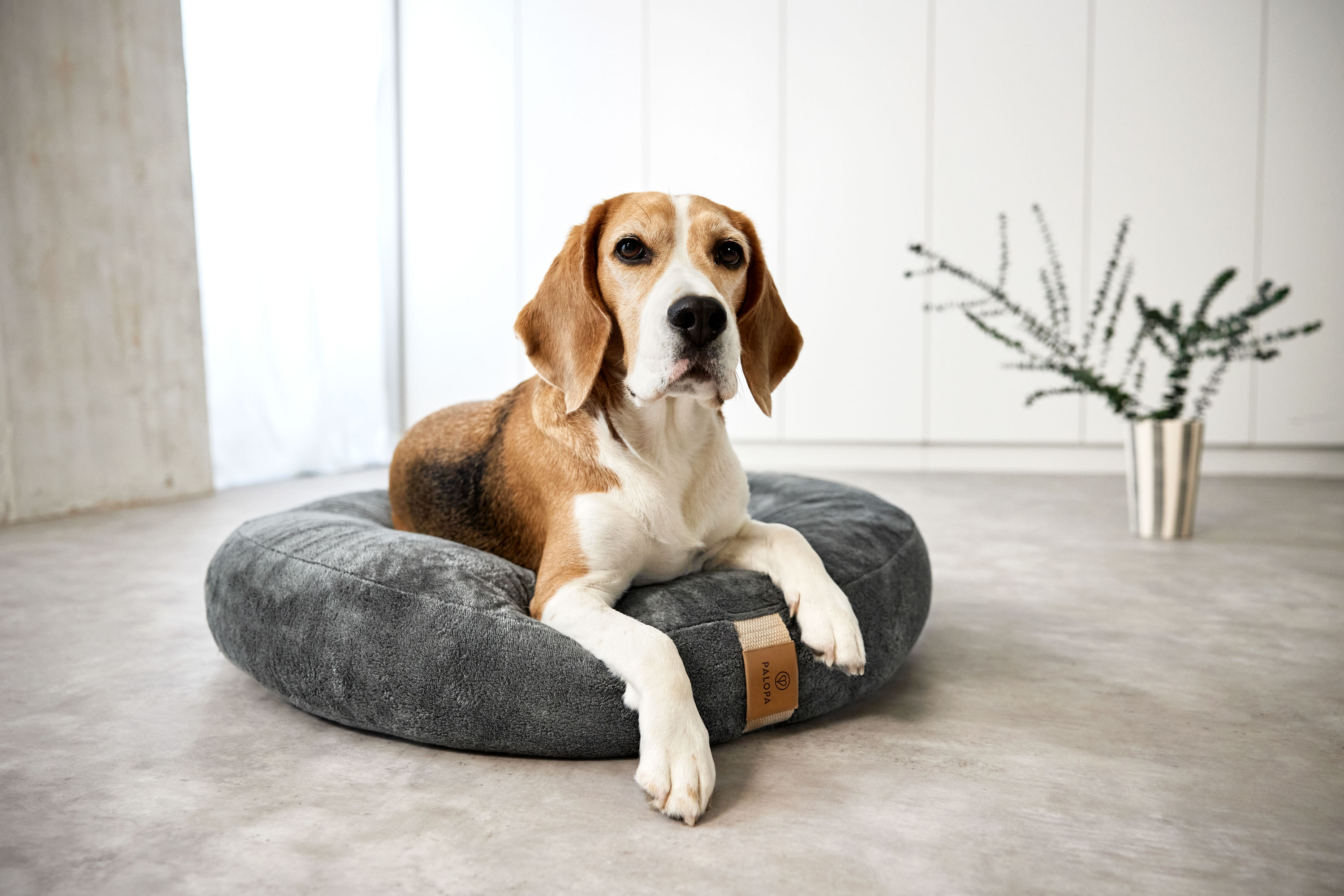 Palopa Dog Bed Donut Fippa anthracite M-L - 52