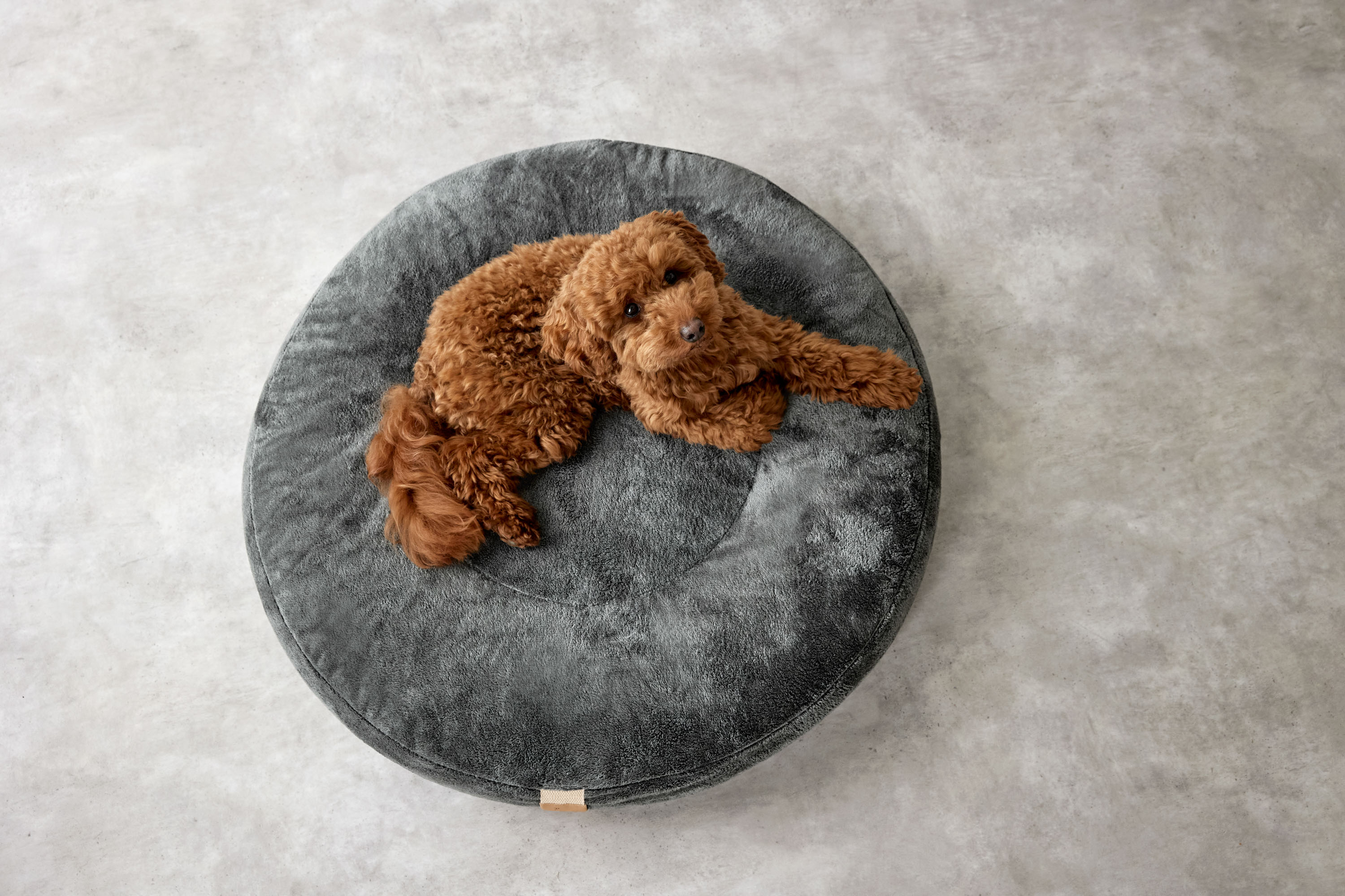 Palopa Dog Bed Donut Fippa anthracite M-L - 32