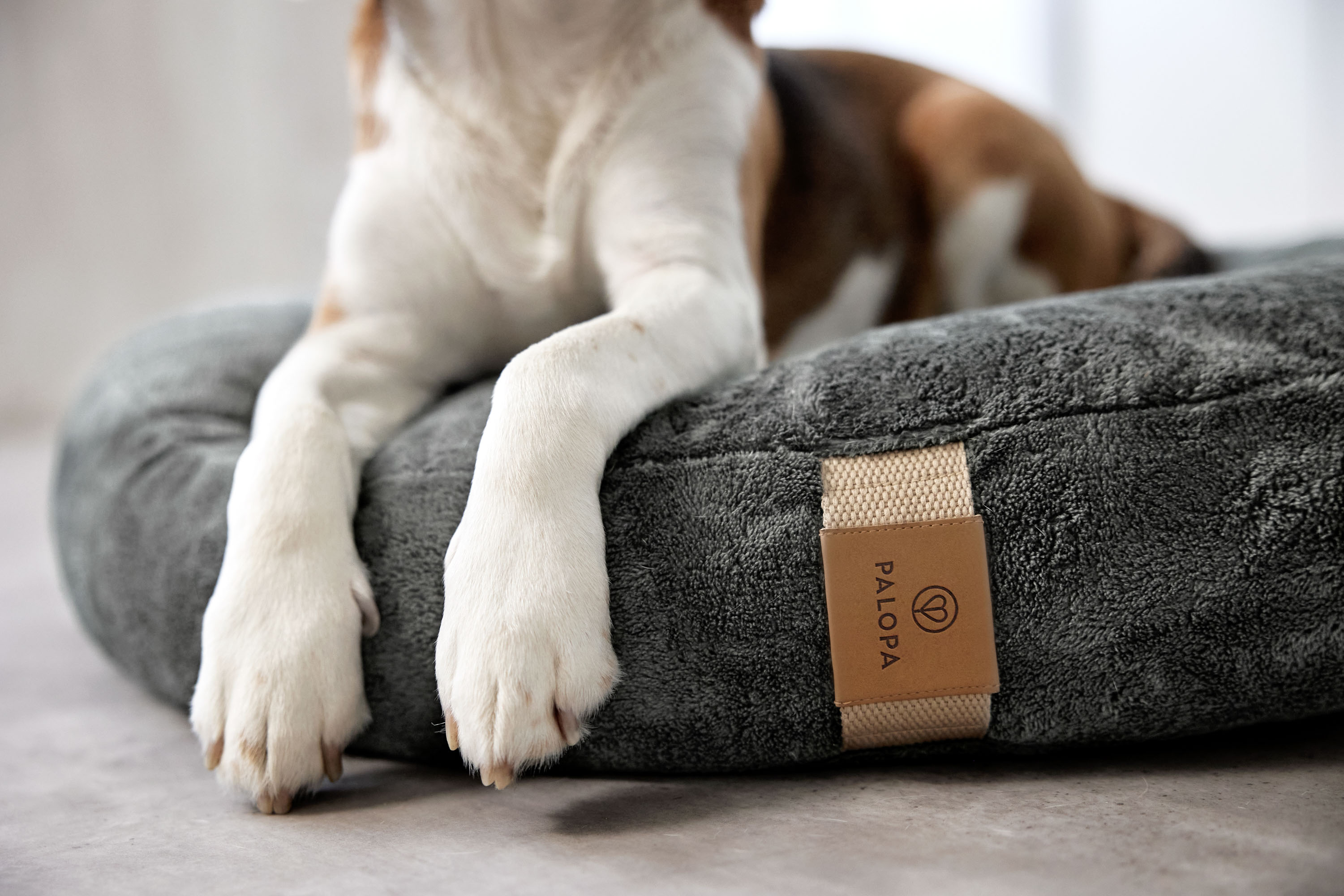 Palopa Dog Bed Donut Fippa anthracite M-L - 29