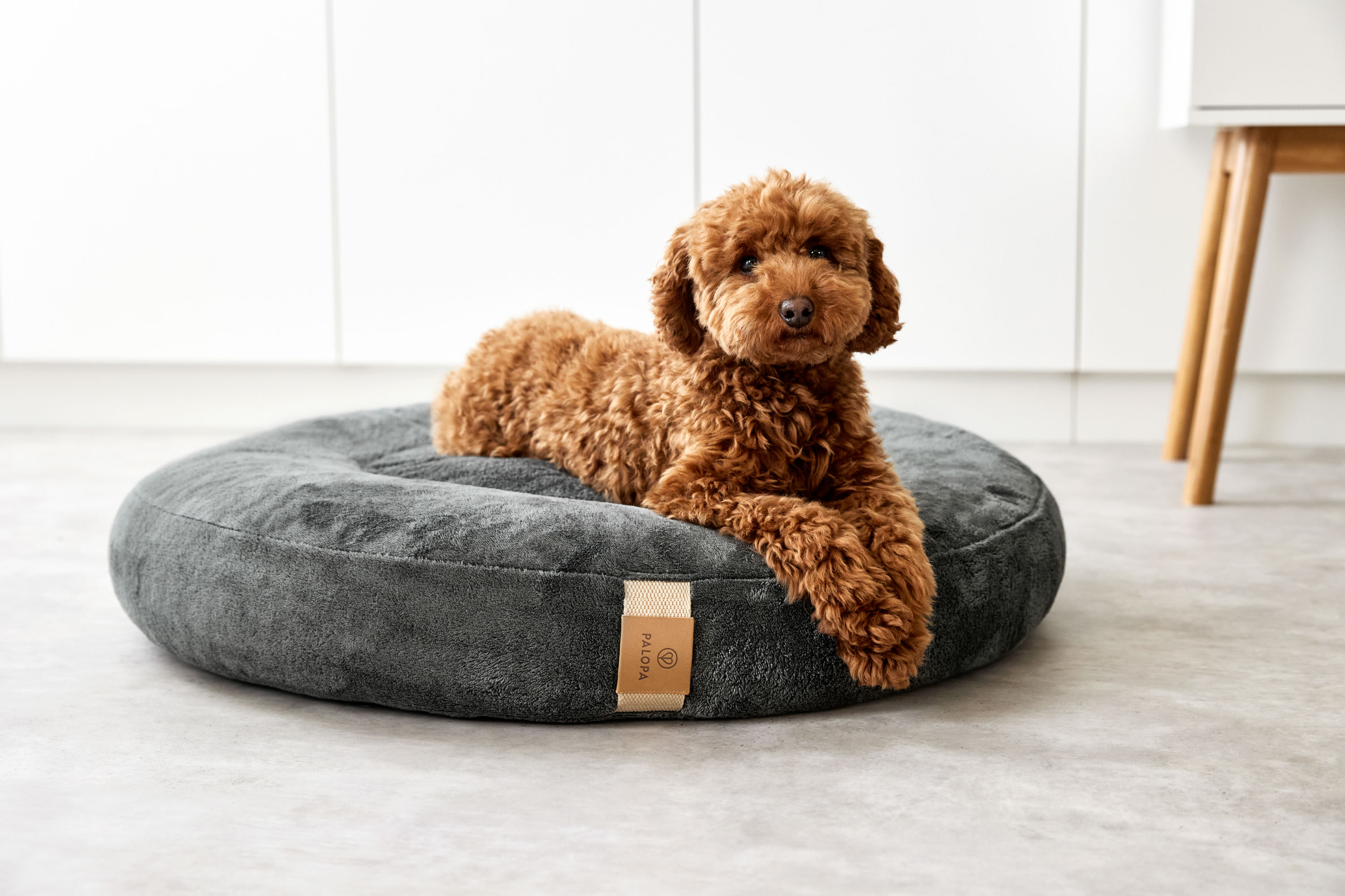 Palopa Dog Bed Donut Fippa anthracite M-L - 30