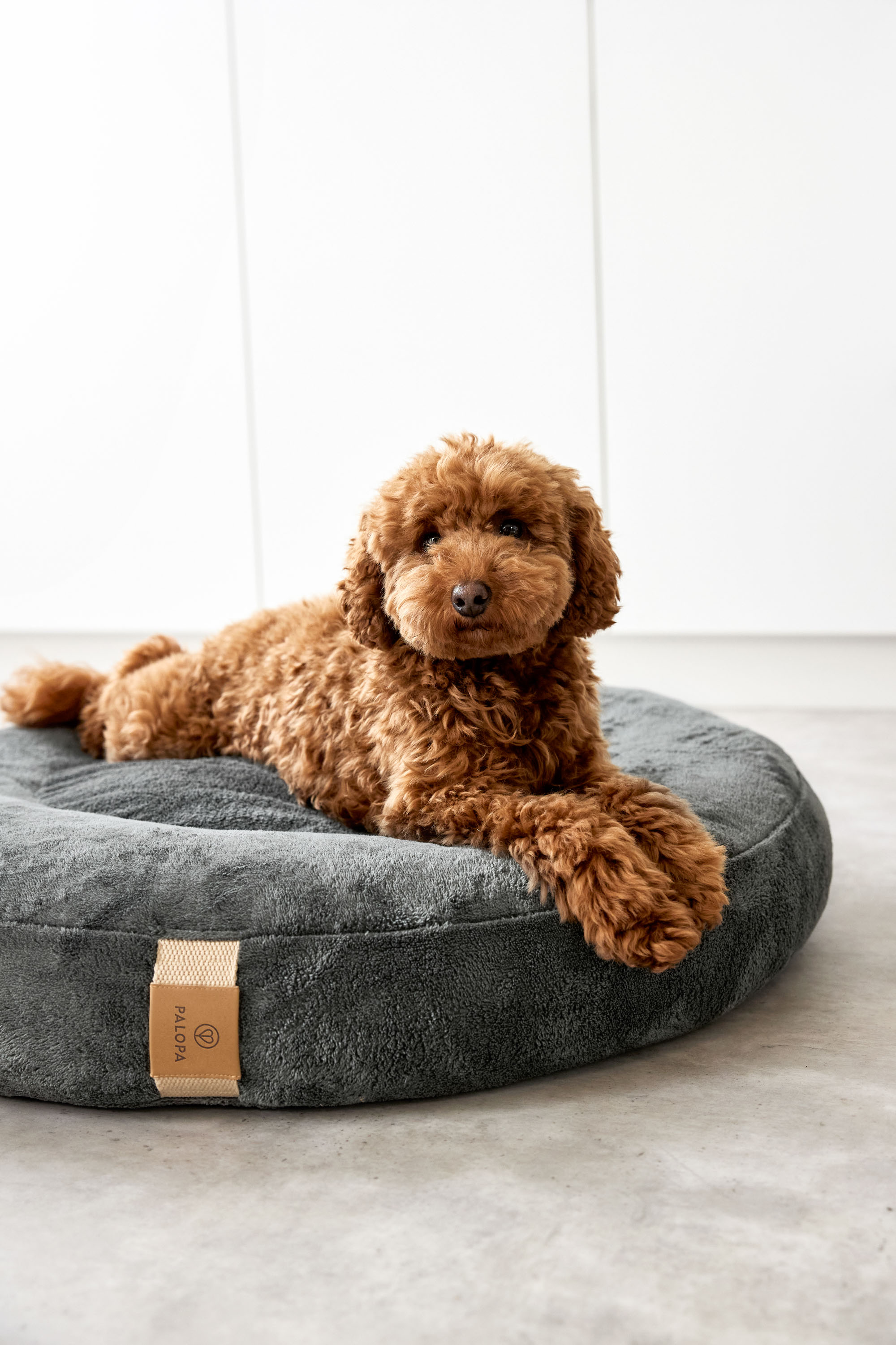 Palopa Dog Bed Donut Fippa anthracite M-L - 27