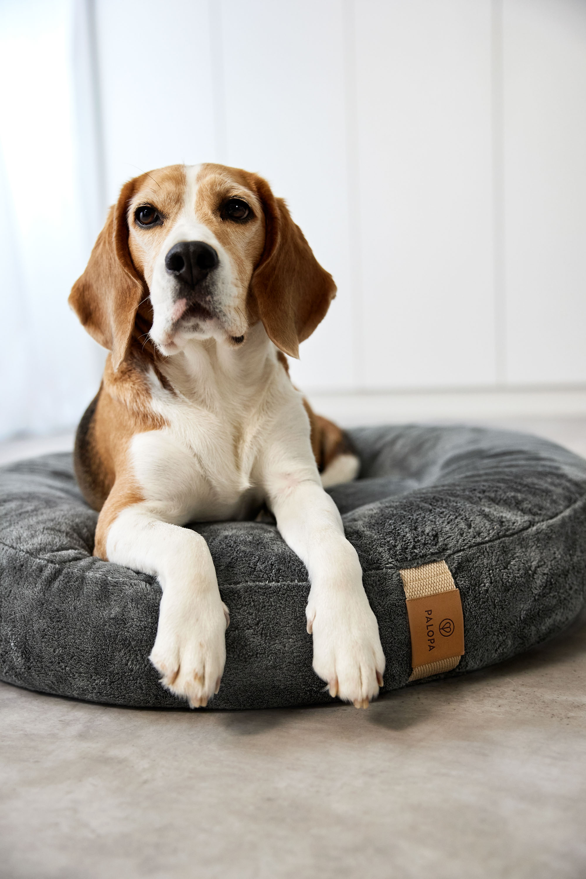 Palopa Dog Bed Donut Fippa anthracite M-L - 53