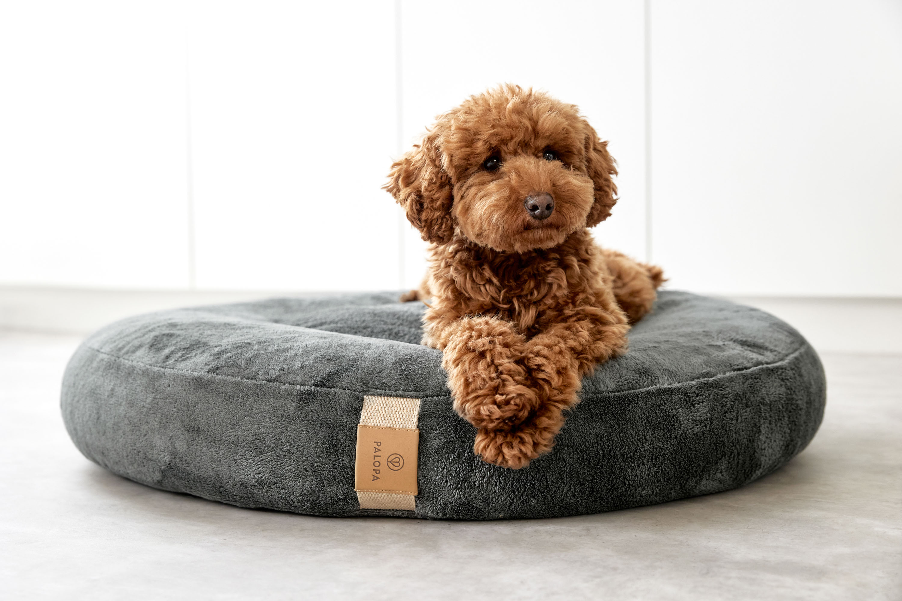 Palopa Dog Bed Donut Fippa anthracite S - 35