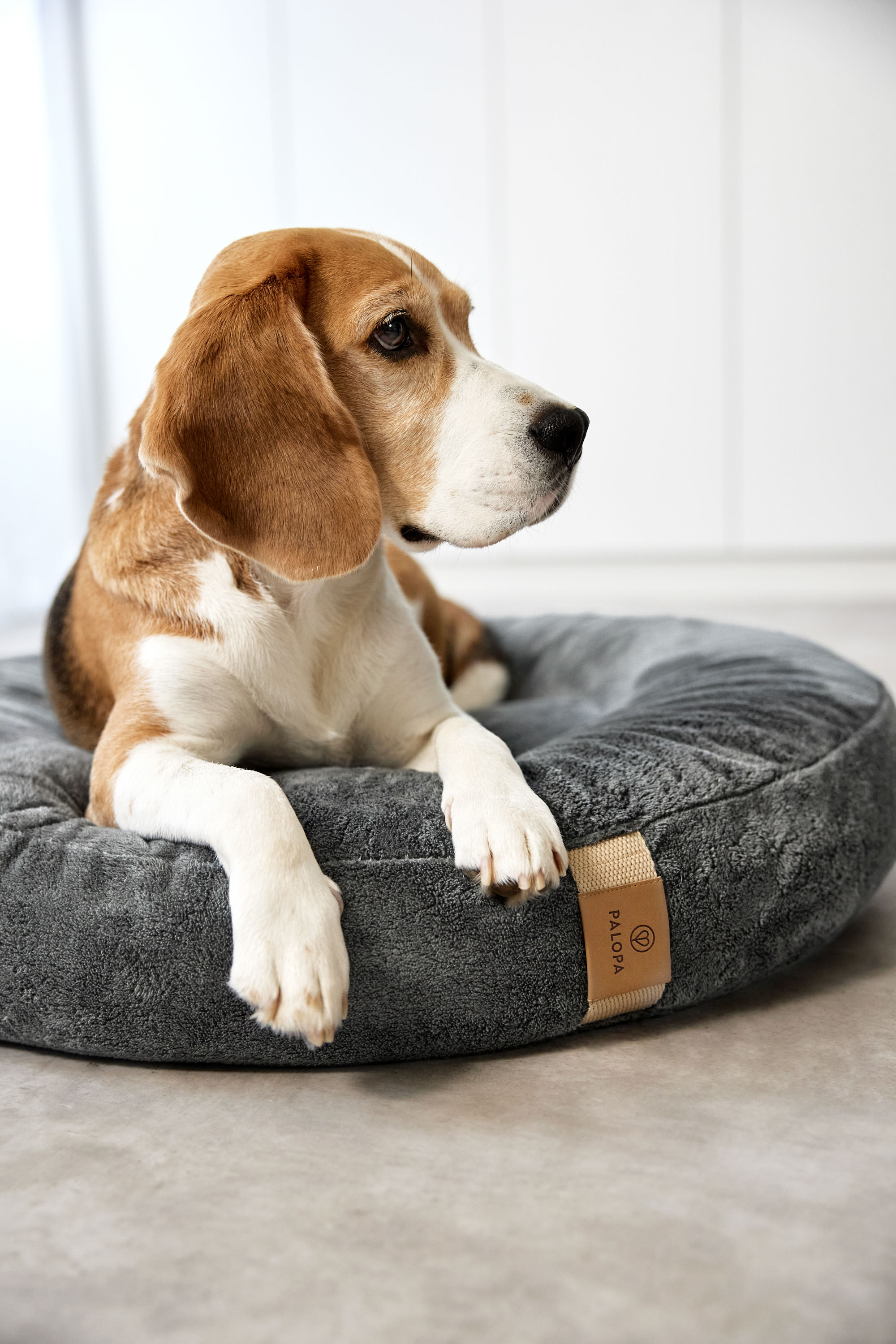 Palopa Dog Bed Donut Fippa anthracite S - 38