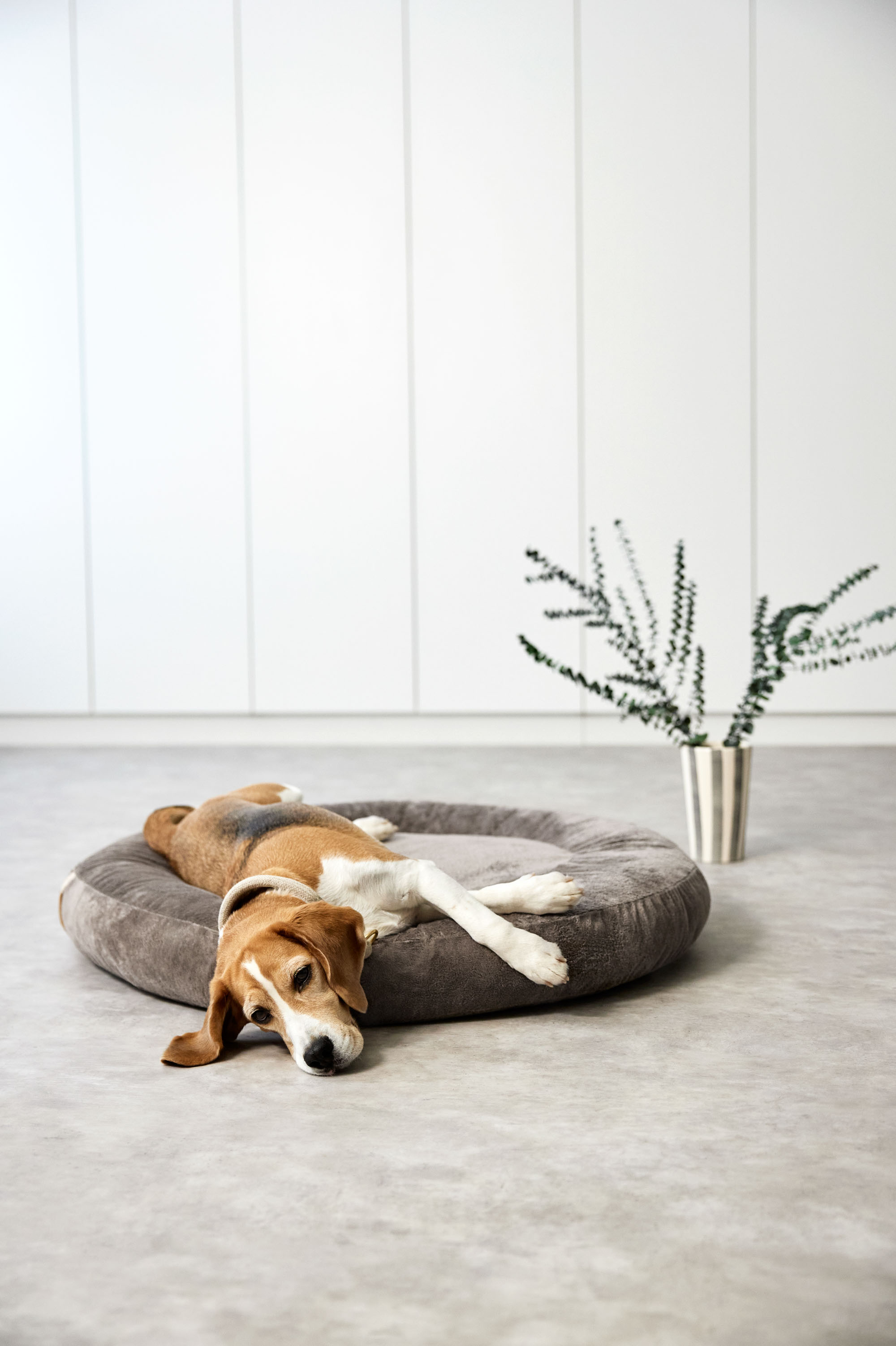 Palopa Dog Bed Donut Fippa taupe S - 5