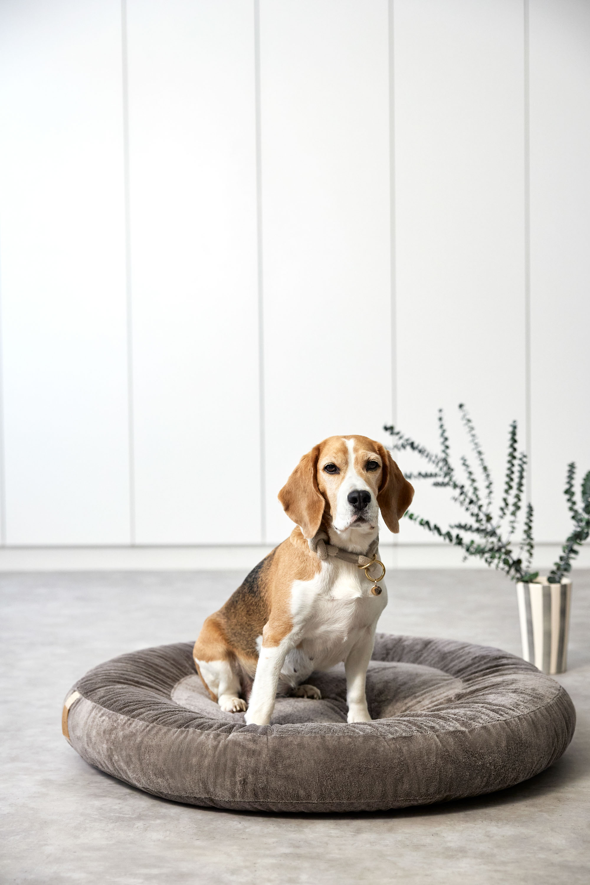 Palopa Dog Bed Donut Fippa taupe S - 25