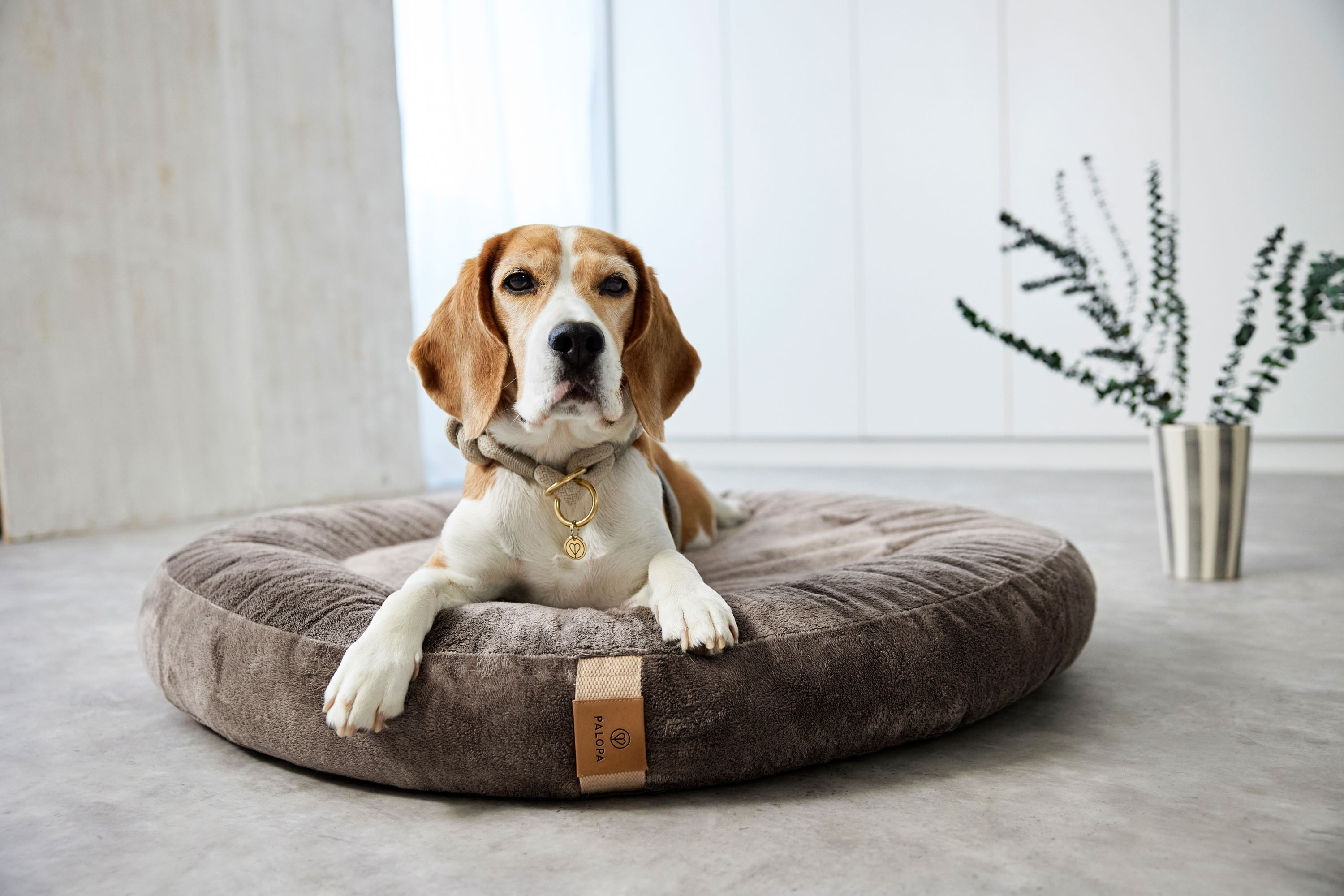 Palopa Dog Bed Donut Fippa taupe S - 45