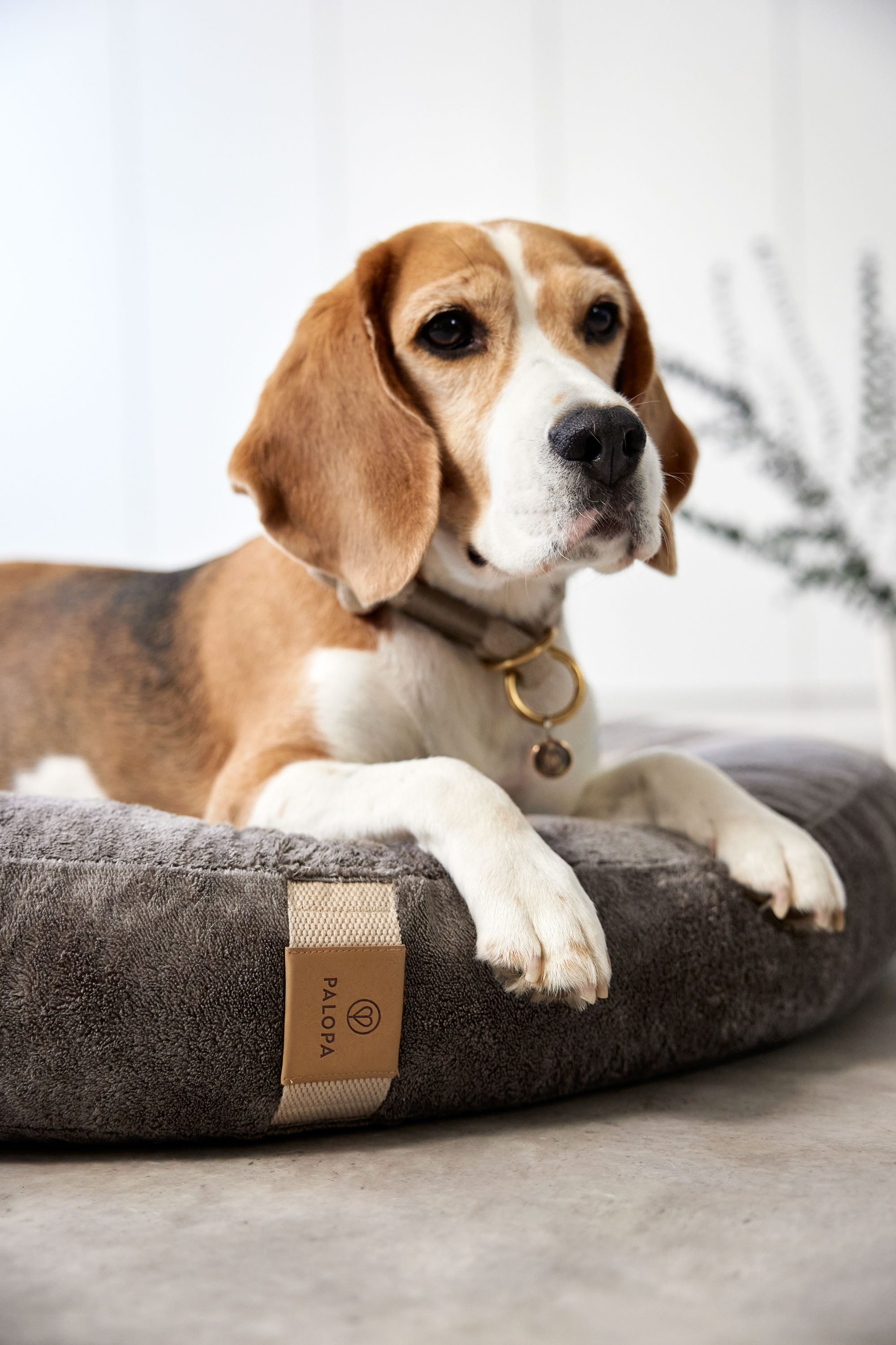 Palopa Dog Bed Donut Fippa taupe S - 30