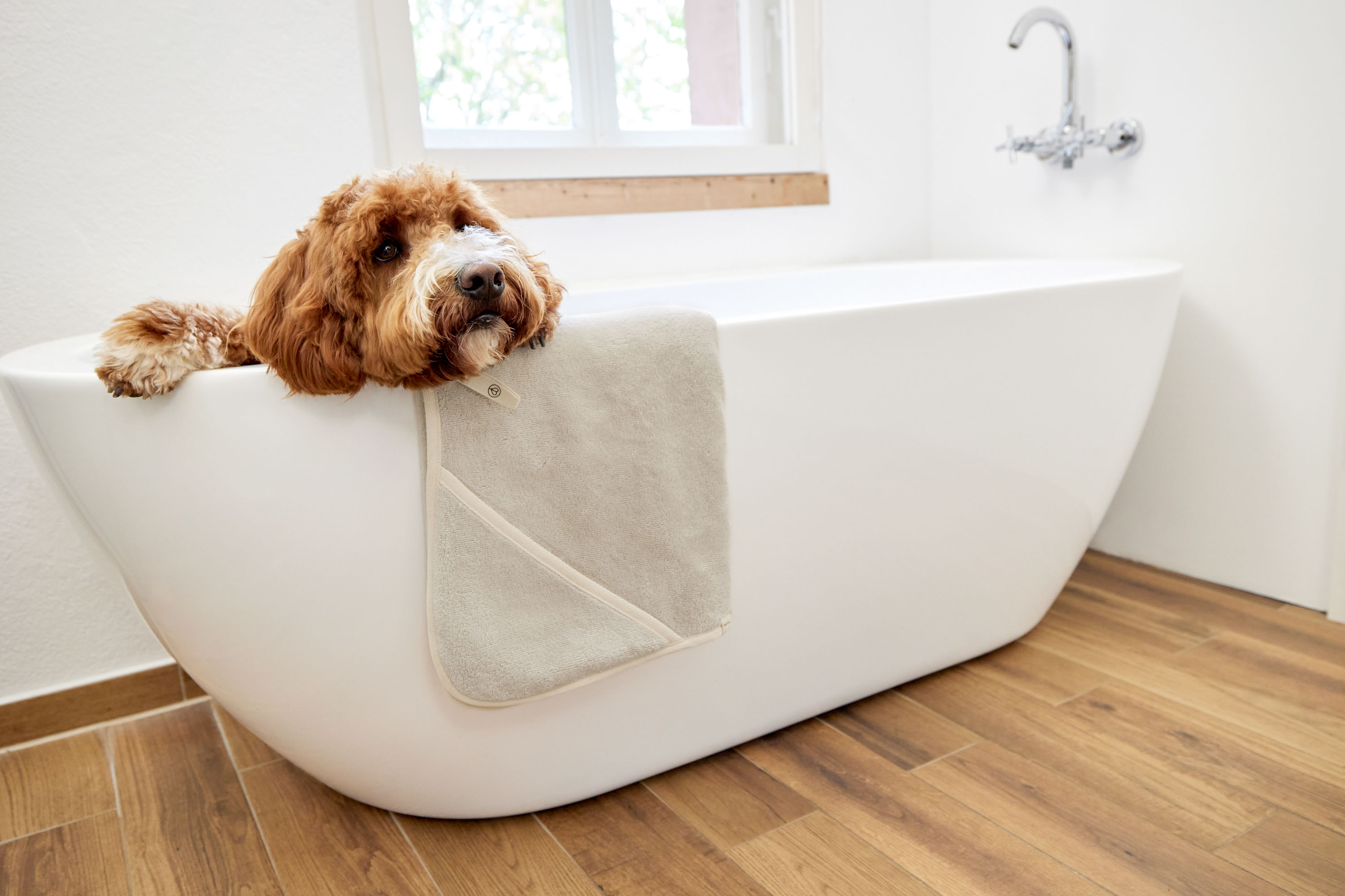 Palopa Dog Towel Kosy beige S - 12