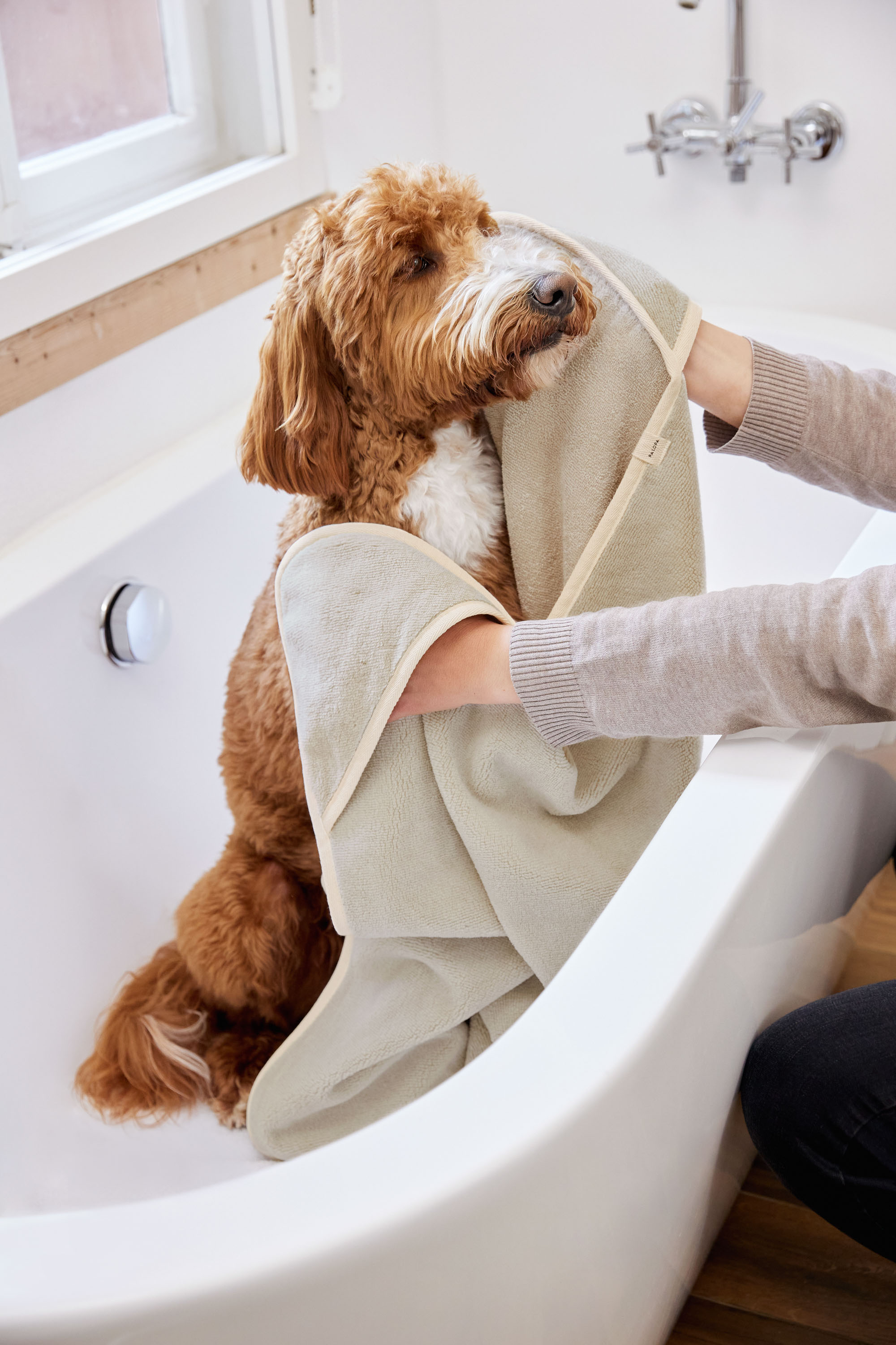 Palopa Dog Towel Kosy beige S - 19