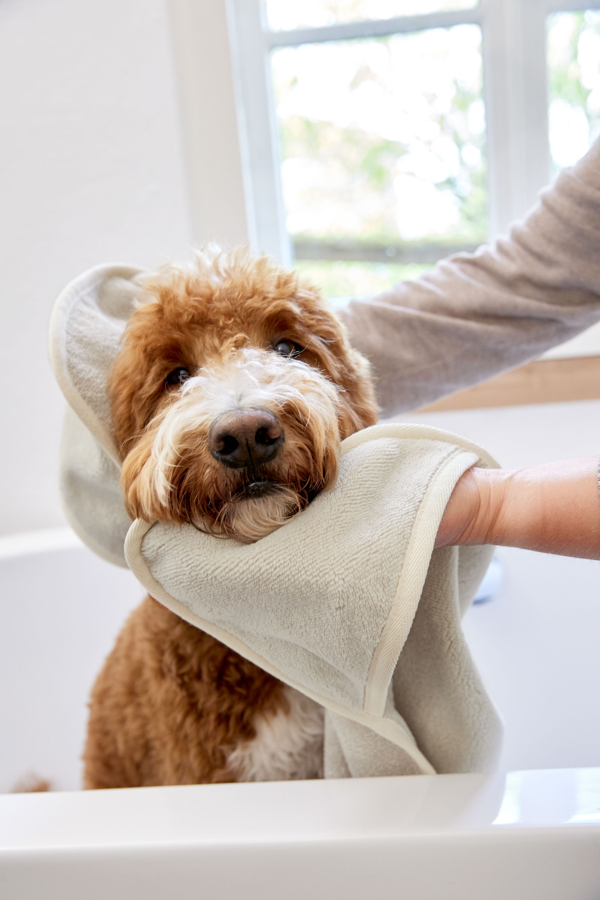 Palopa Dog Towel Kosy beige S - 48
