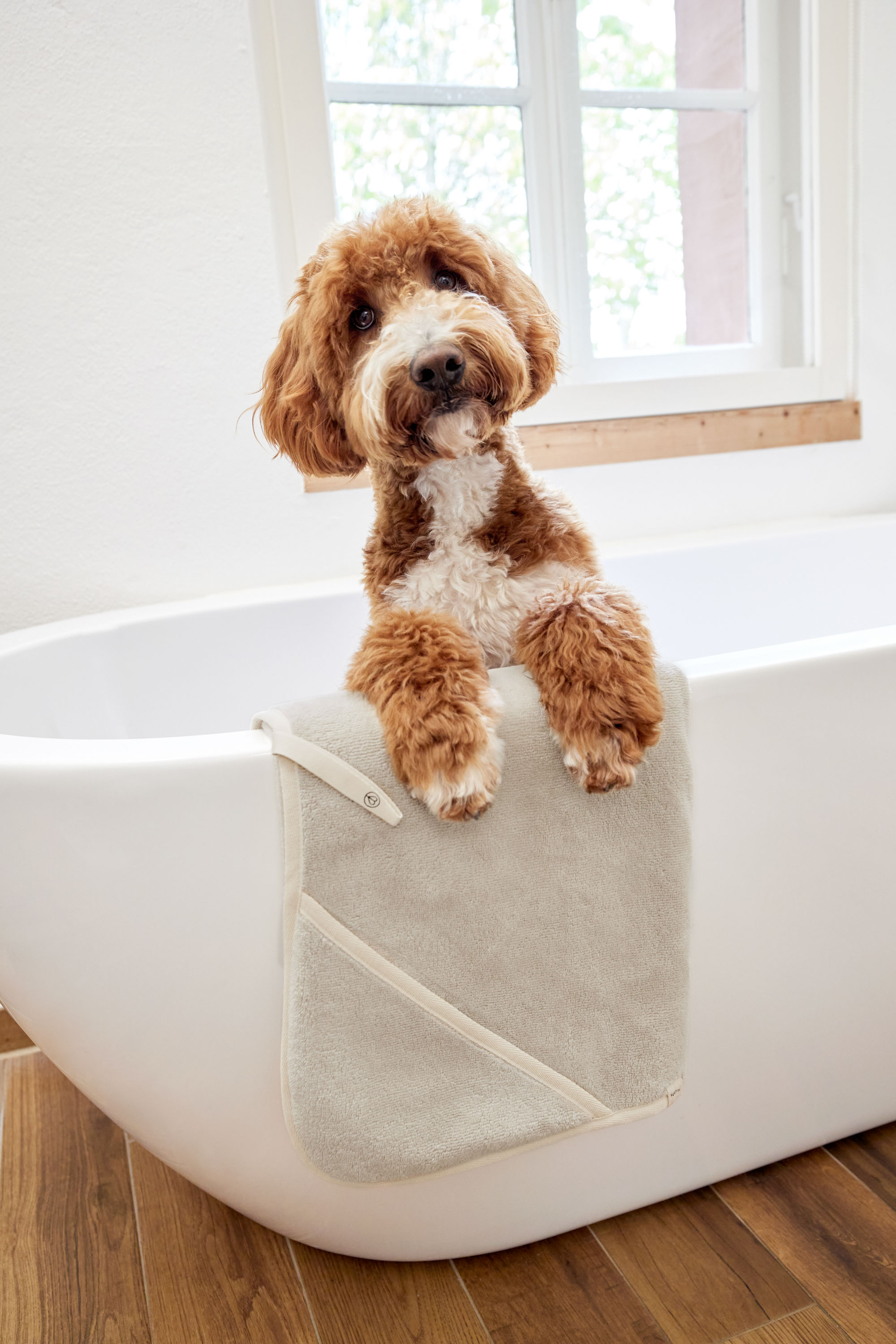 Palopa Dog Towel Kosy beige S - 45