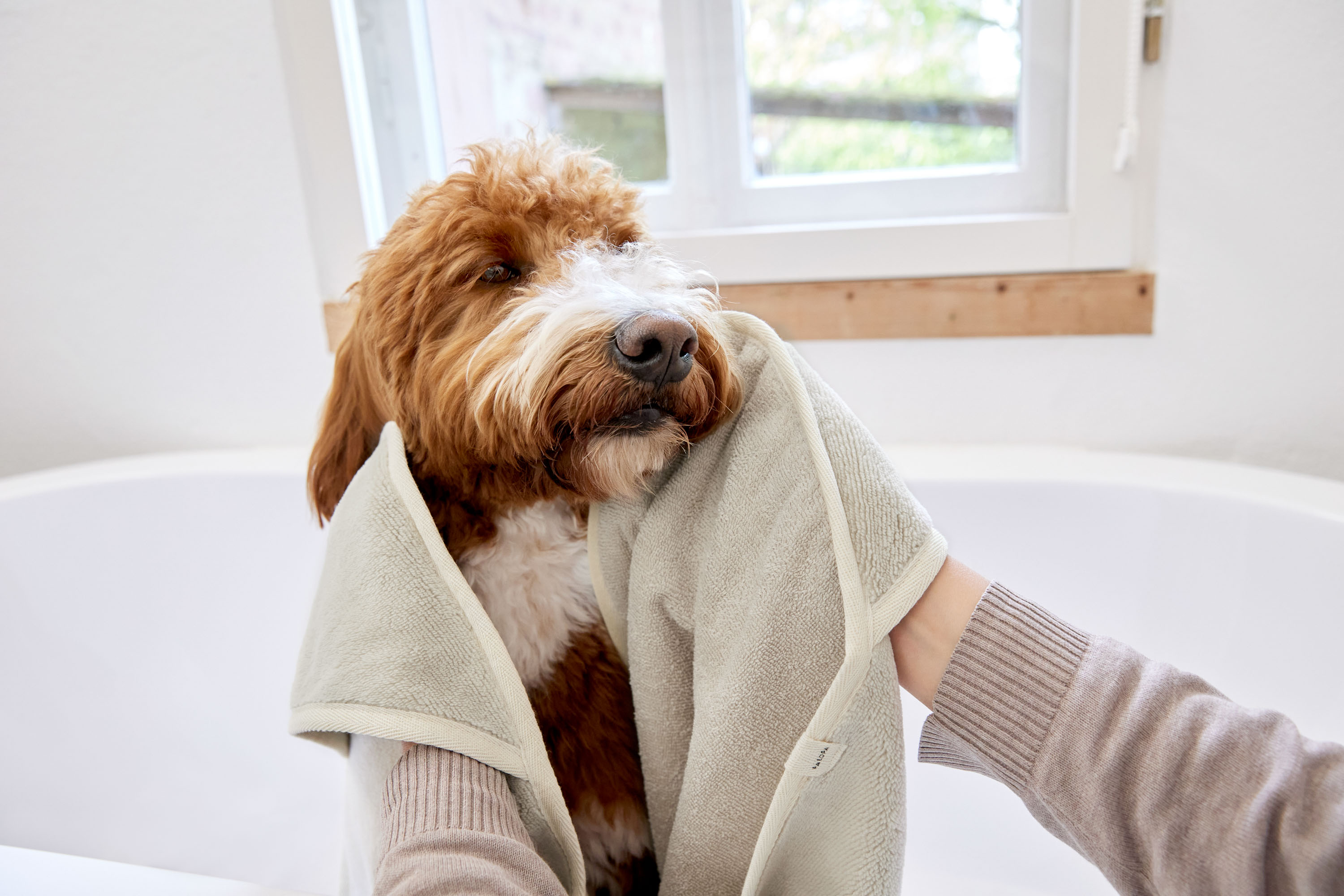 Palopa Dog Towel Kosy beige S - 50