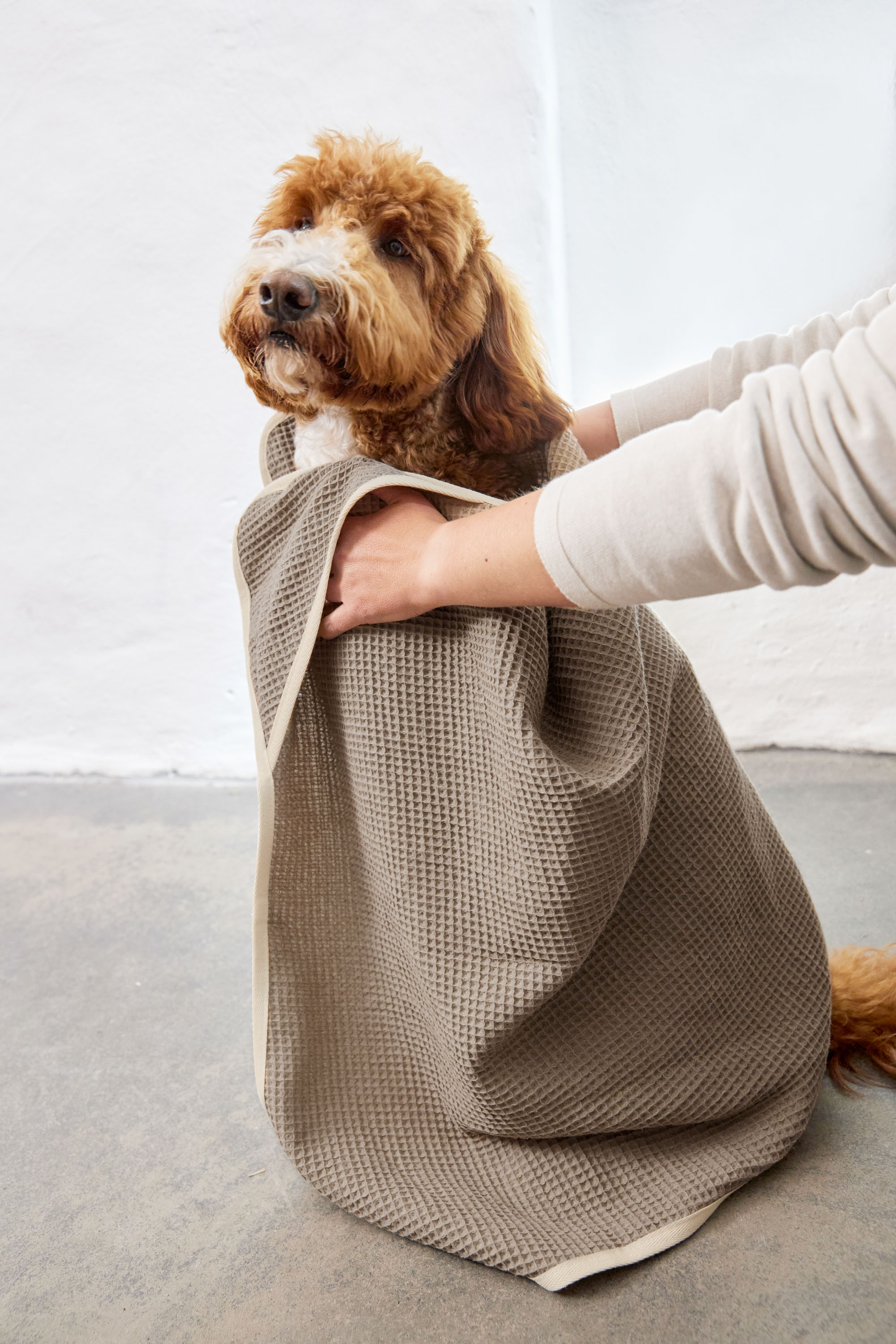Palopa Dog Towel Nobs taupe M-L - 53