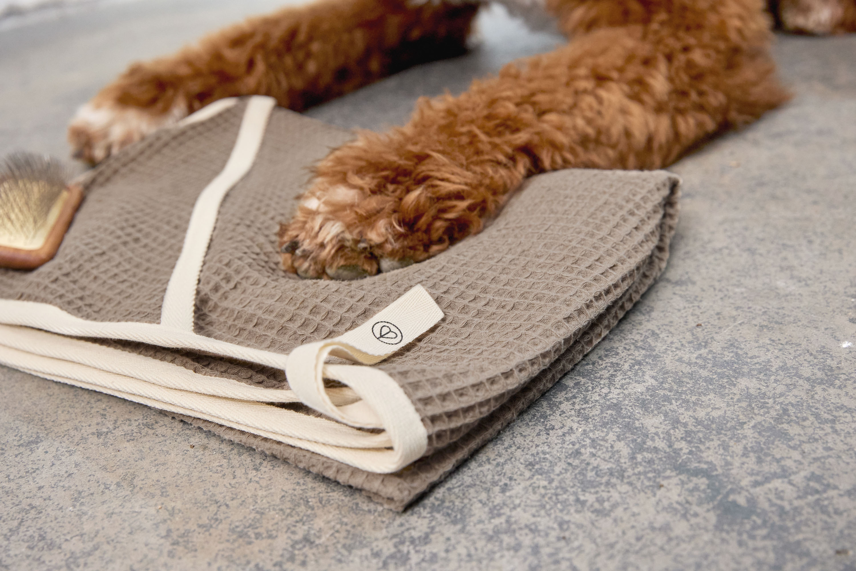 Palopa Dog Towel Nobs taupe M-L - 17