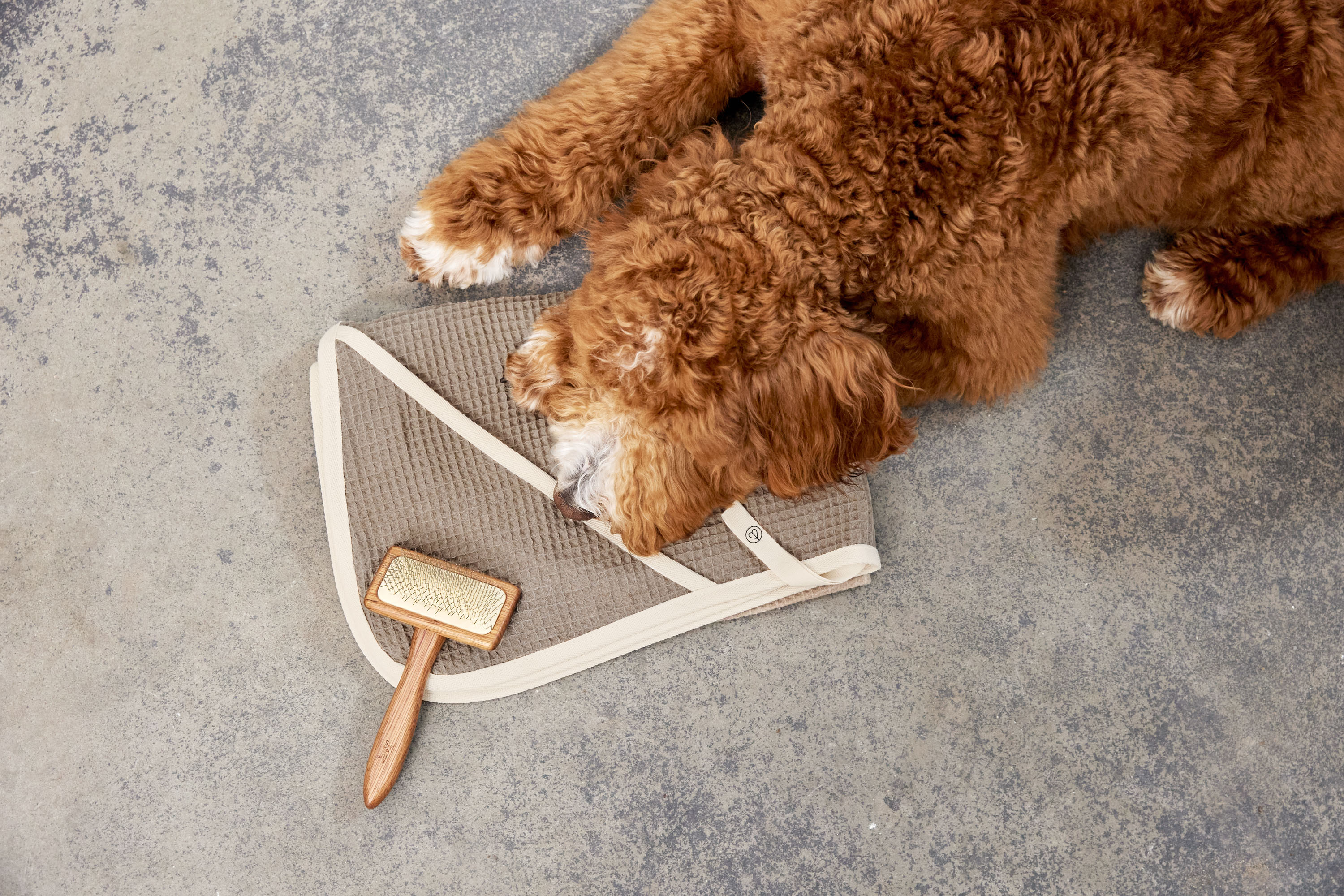 Palopa Dog Towel Nobs taupe M-L - 58
