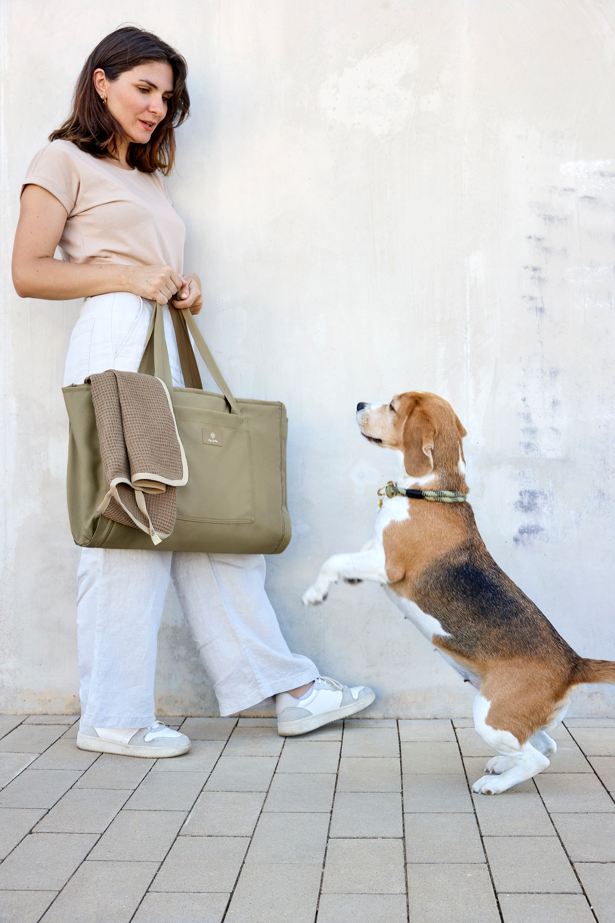 Palopa Dog Towel Nobs taupe M-L - 30