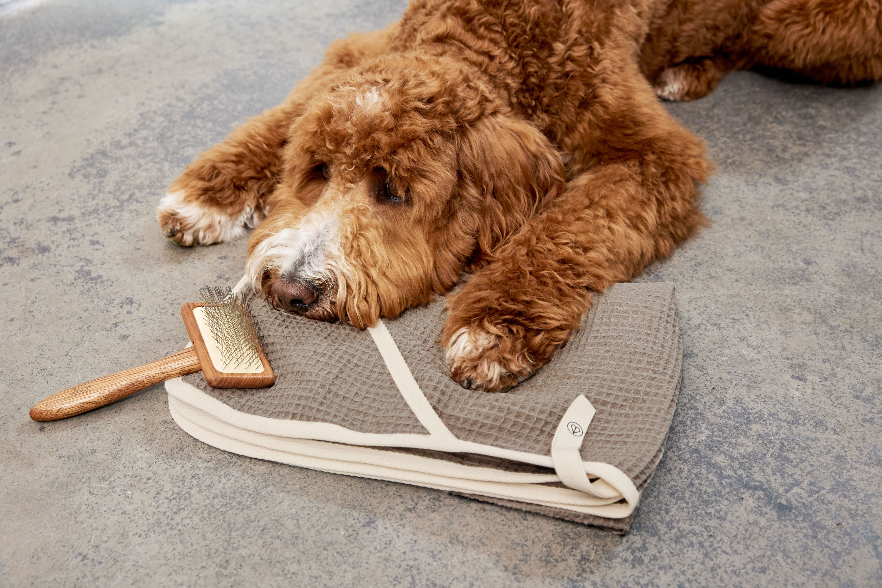 Palopa Dog Towel Nobs taupe M-L - 49