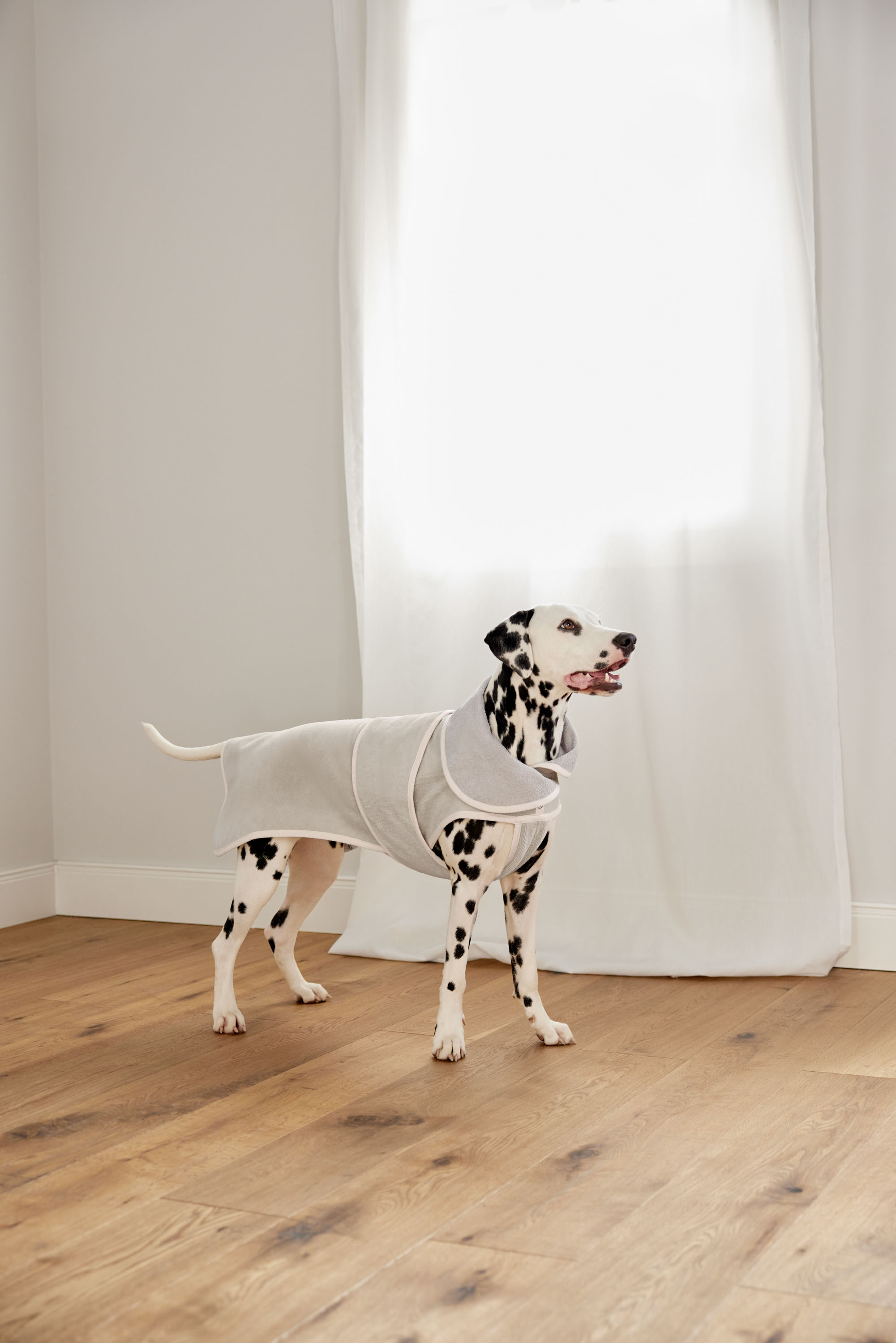 Palopa Dog Bathrobe Robi beige S - 9