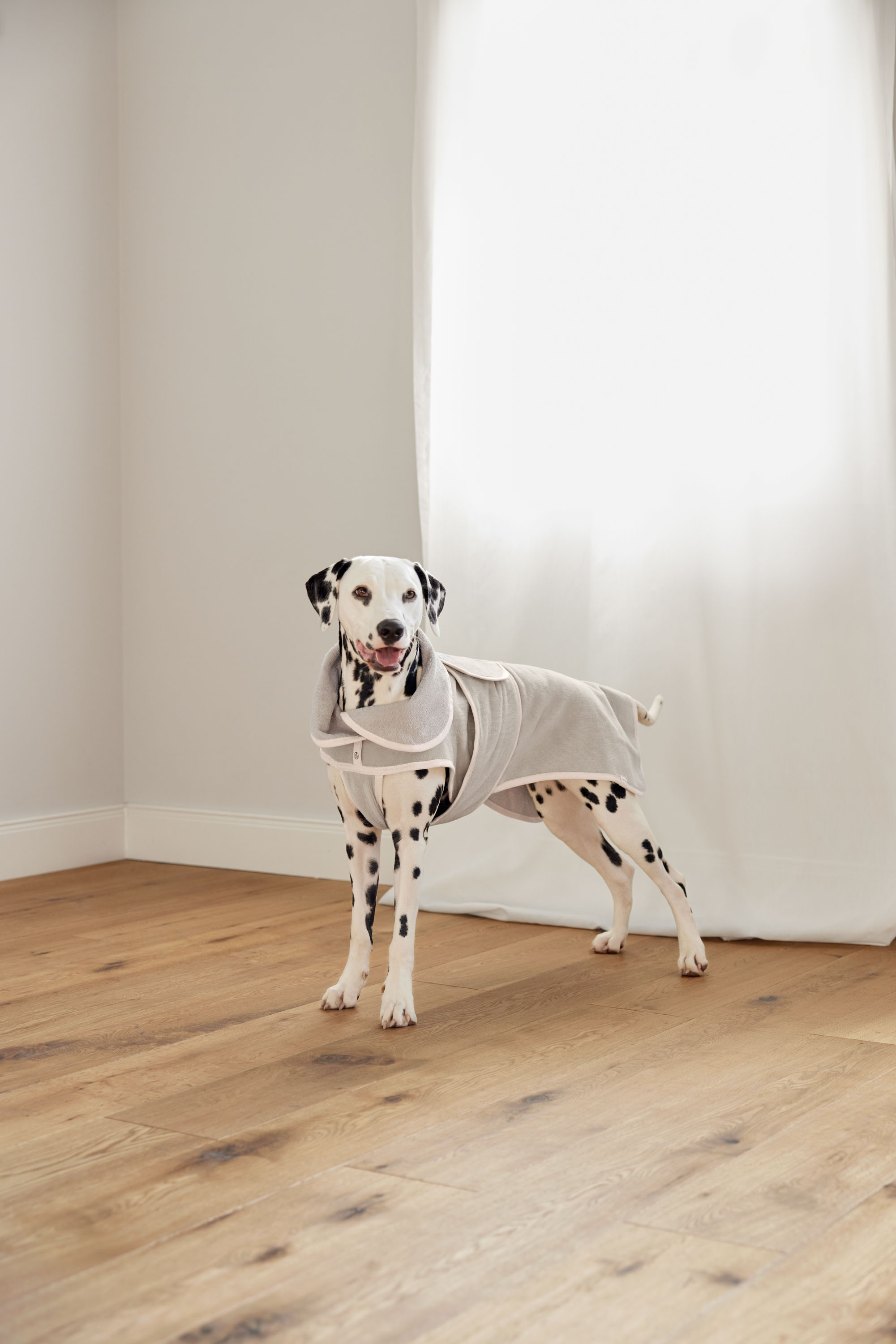 Palopa Dog Bathrobe Robi beige S - 28