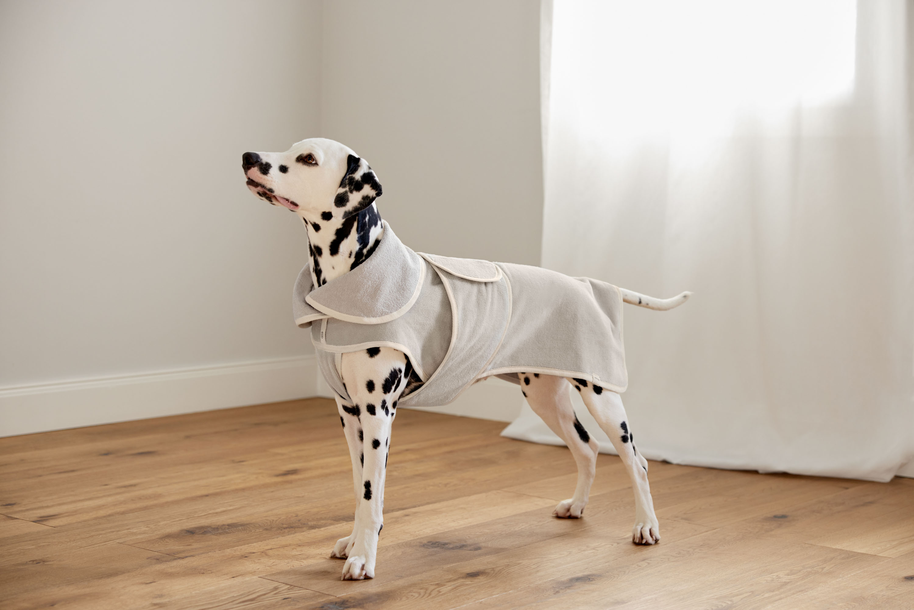 Palopa Dog Bathrobe Robi beige S - 8