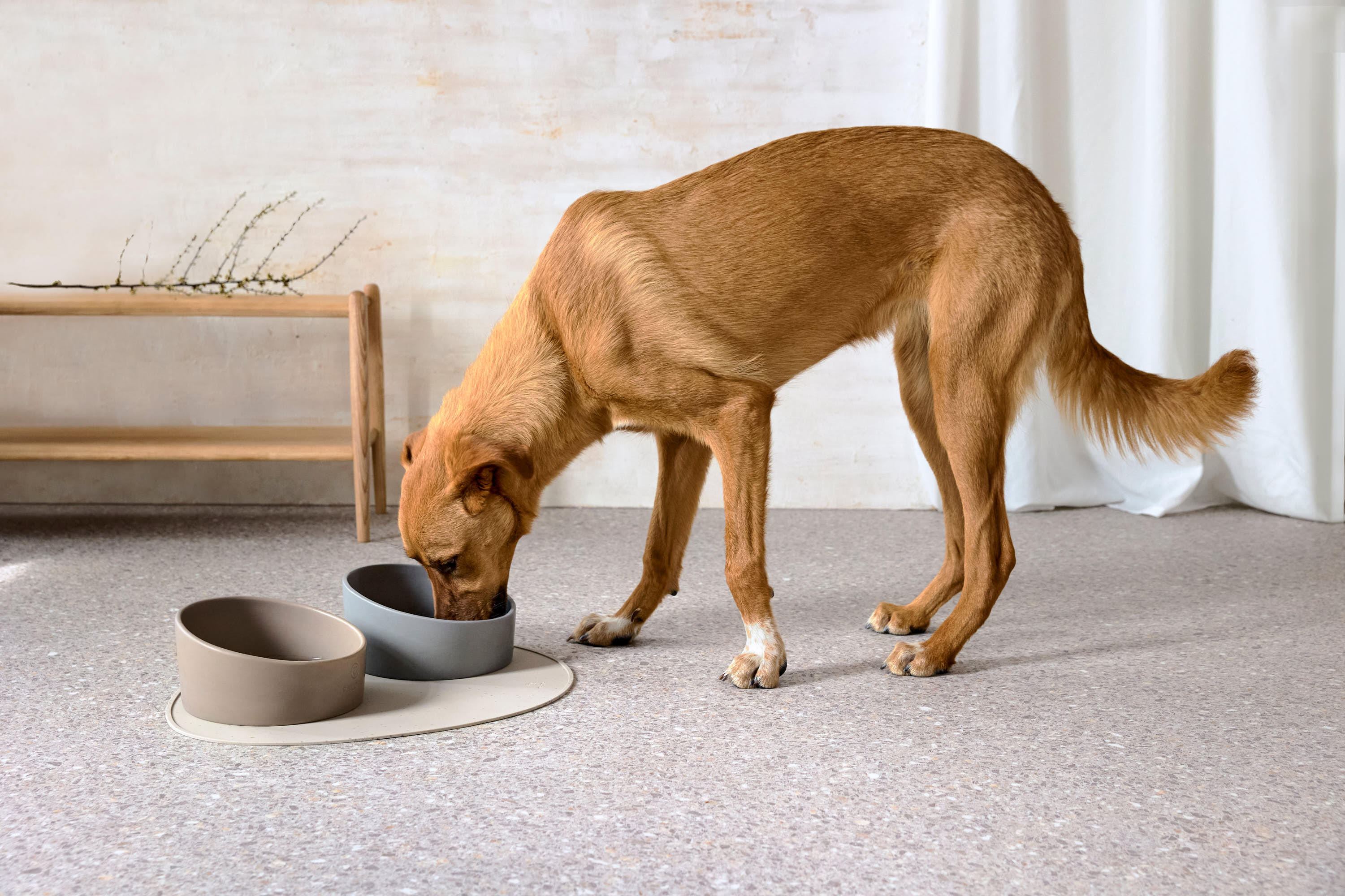 Palopa Dog Bowl Cali grey - 14