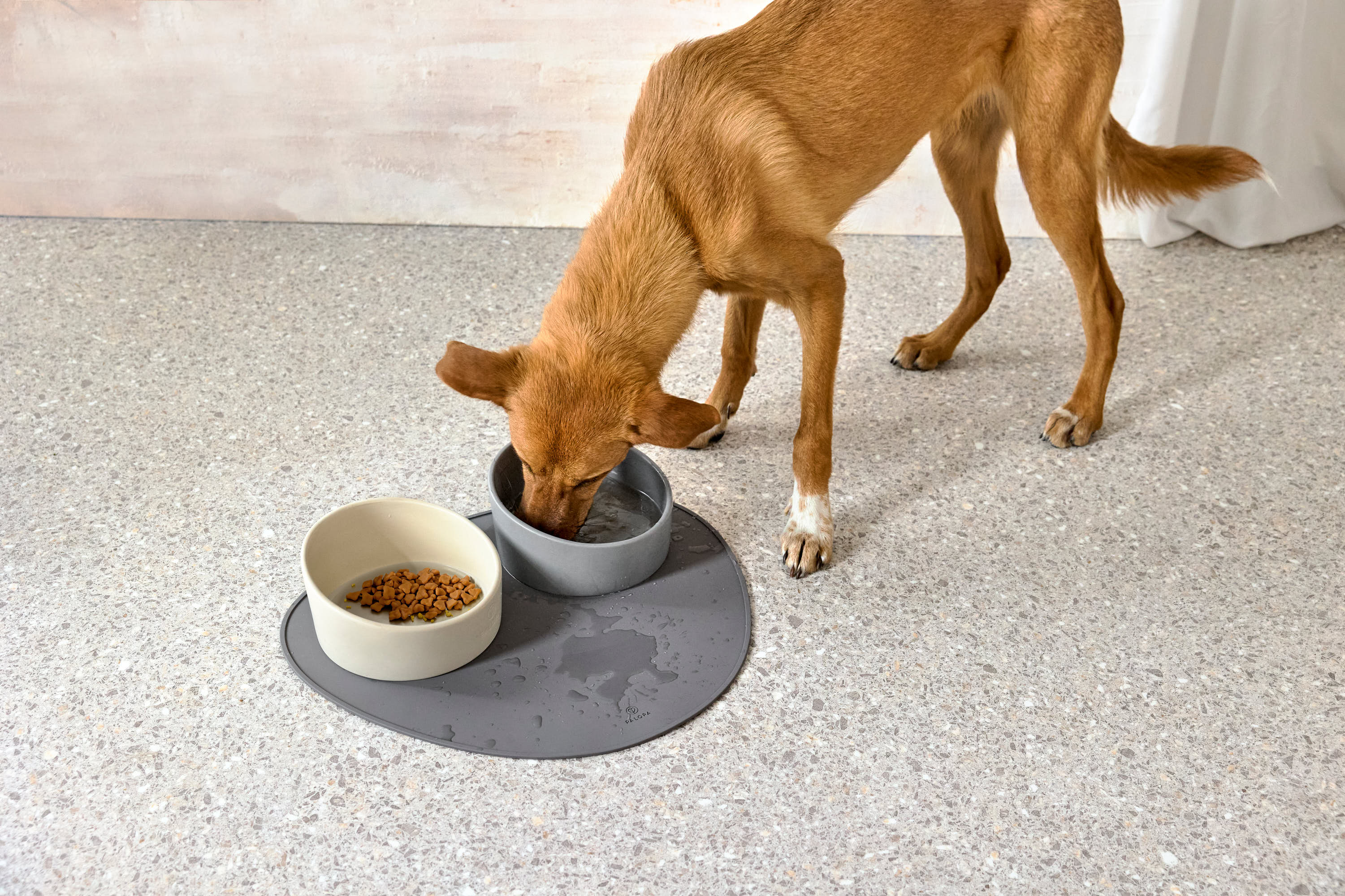 Palopa Dog Bowl Cali grey - 16