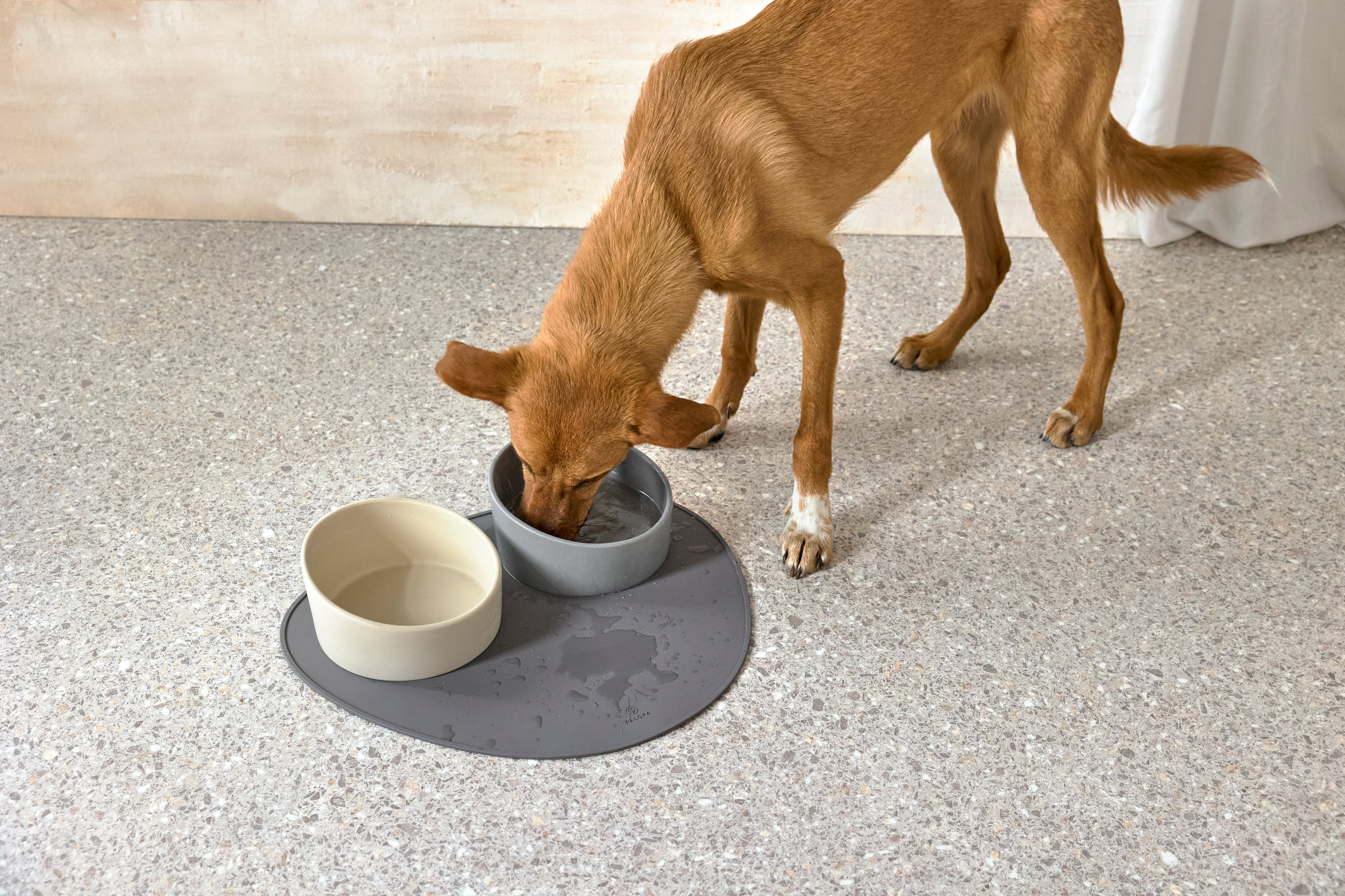 Palopa Dog Bowl Cali grey - 17