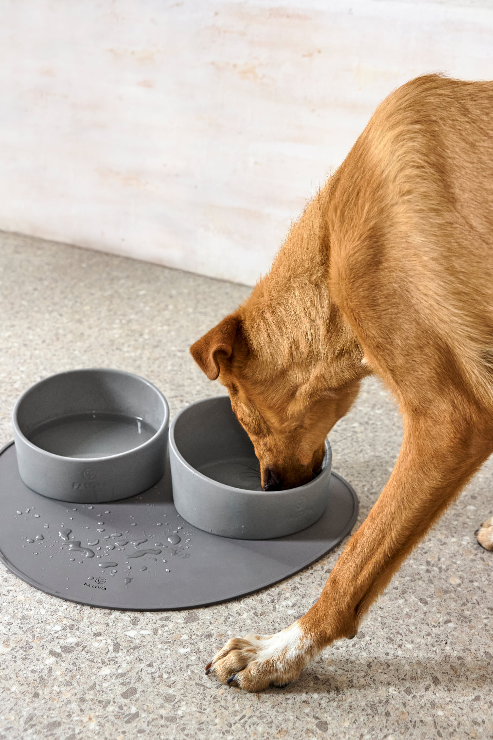 Palopa Dog Bowl Cali grey