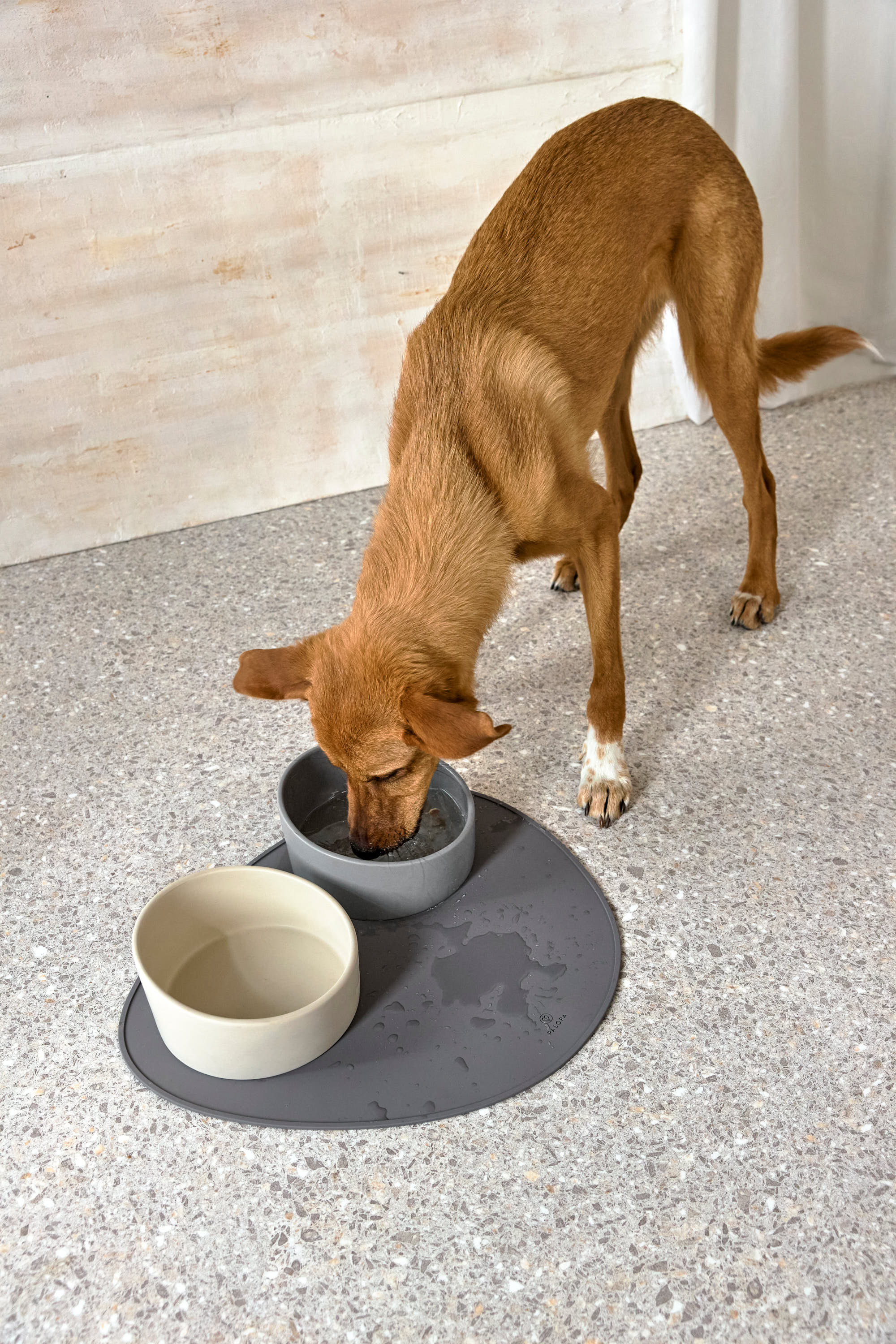 Palopa Dog Bowl Cali grey - 19