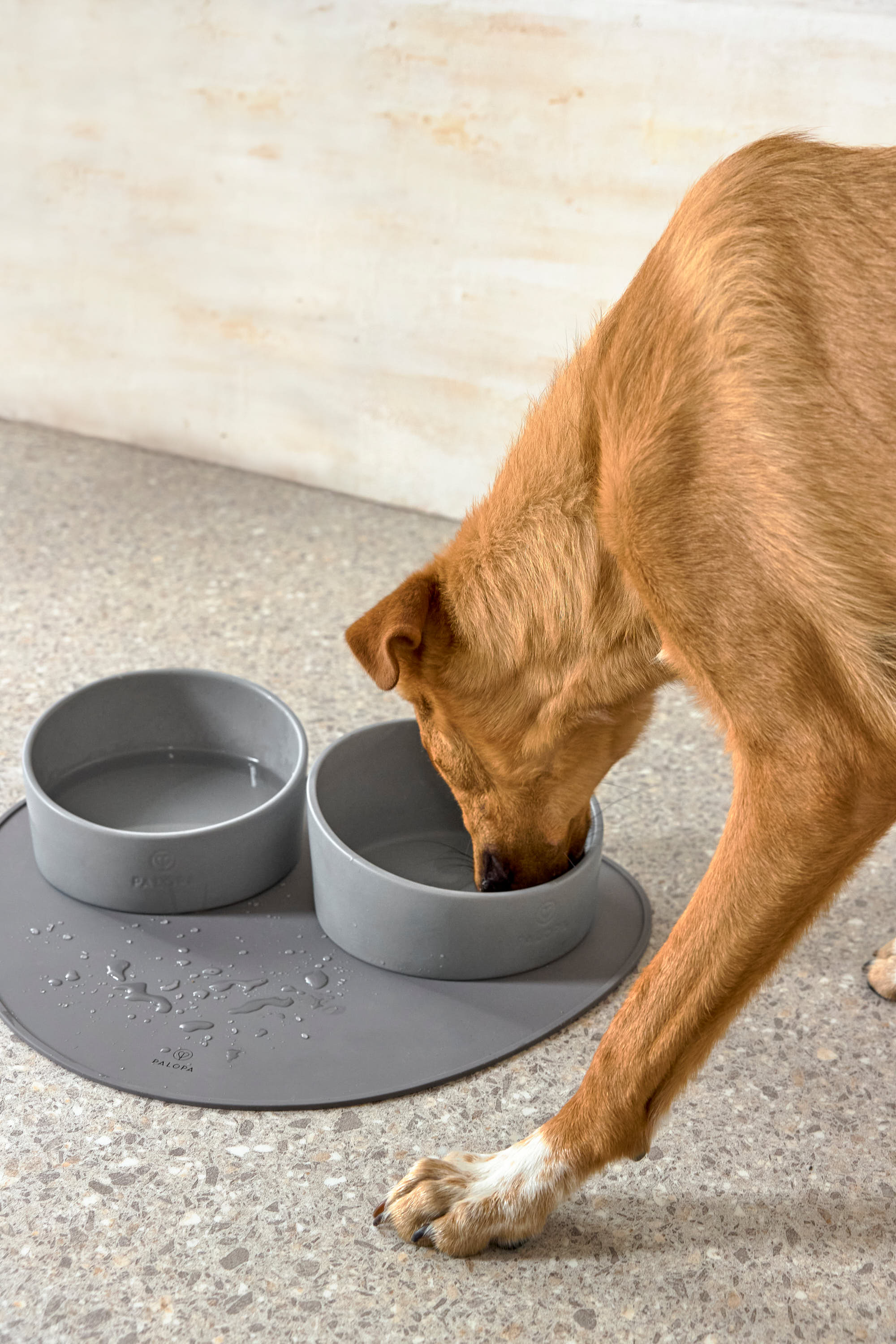 Palopa Dog Bowl Cali grey - 2