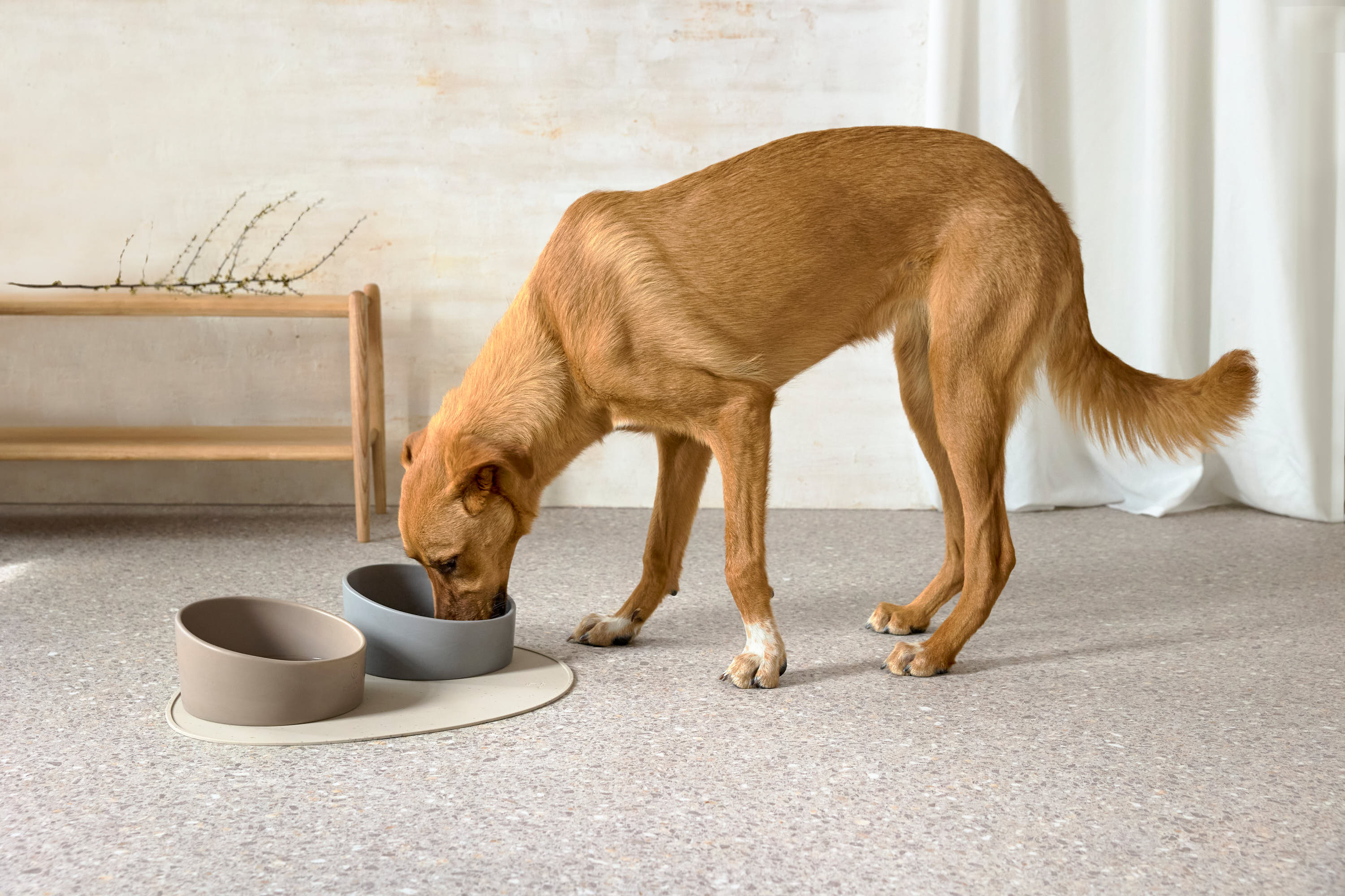 Palopa Dog Bowl Cali grey - 15