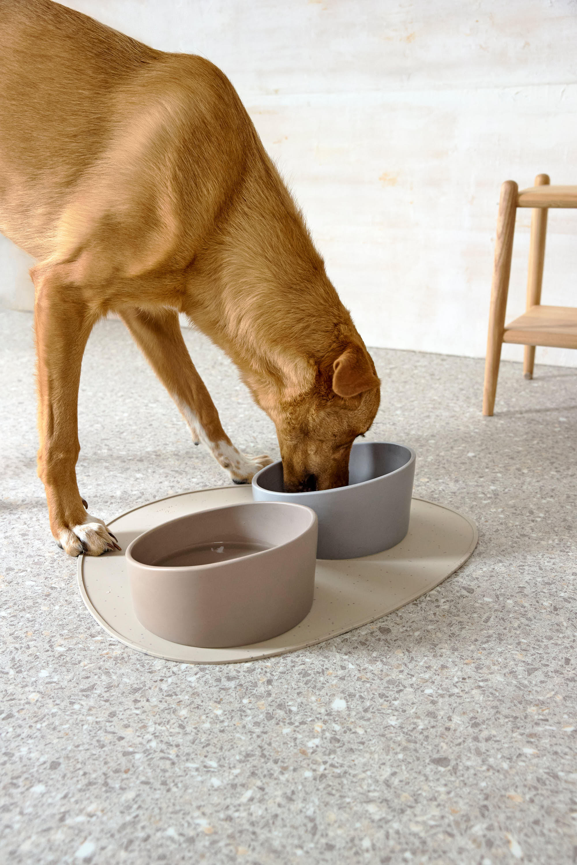 Palopa Dog Bowl Cali taupe - 30