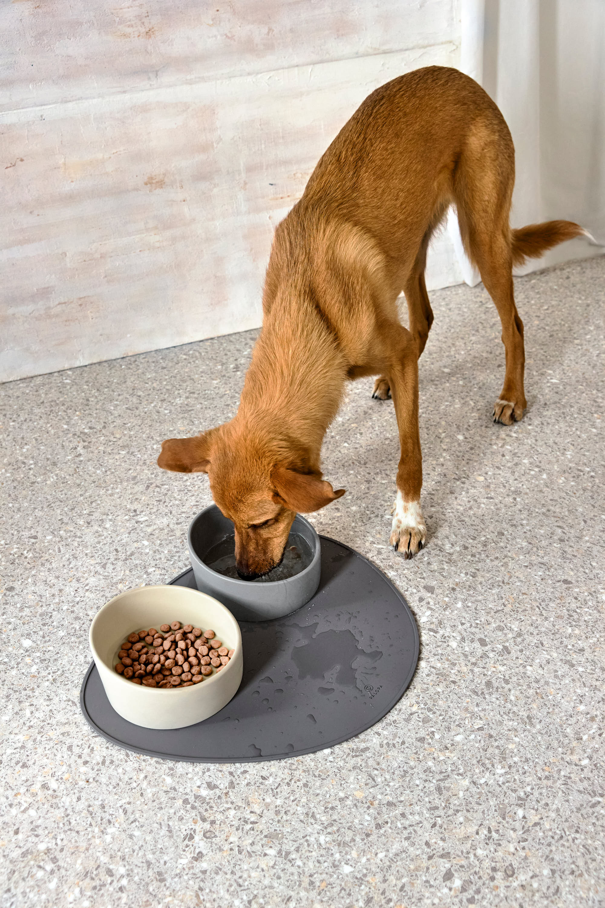 Palopa Dog Bowl Cali beige - 4