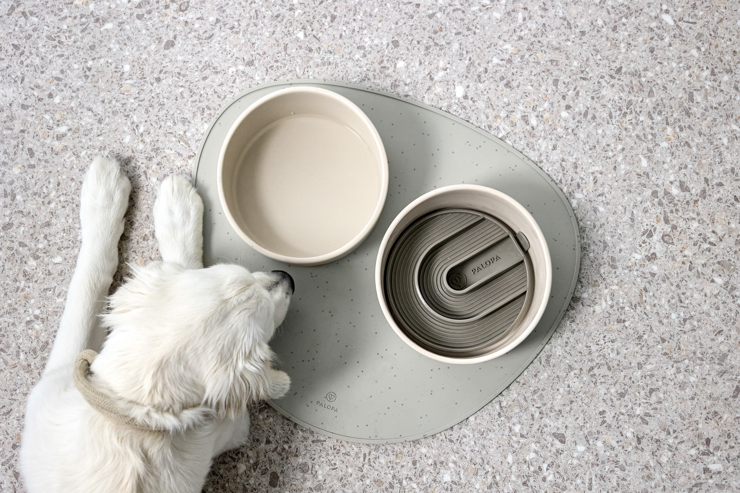 Palopa Dog Bowl Cali beige