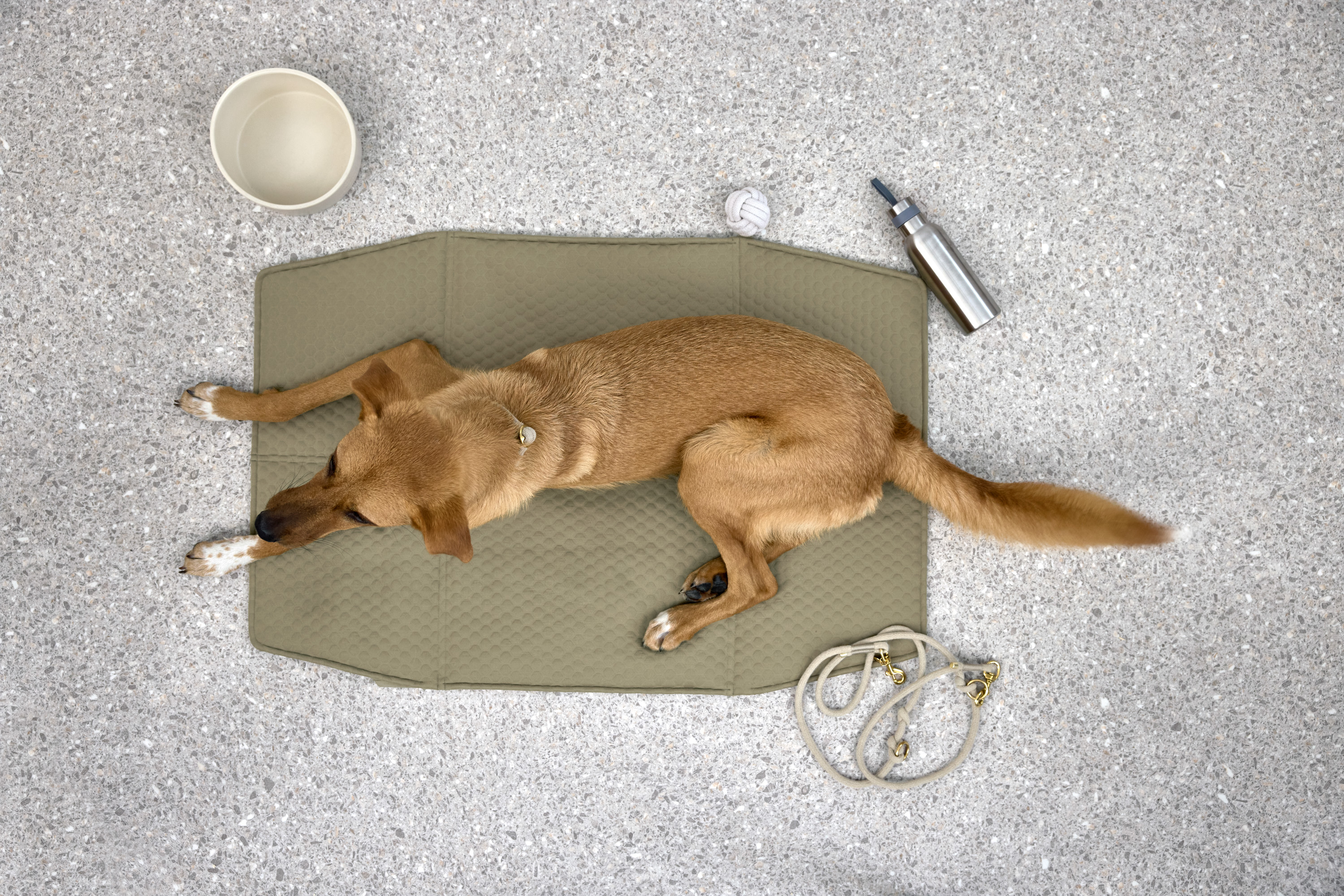 Palopa Dog Bowl Cali beige - 28