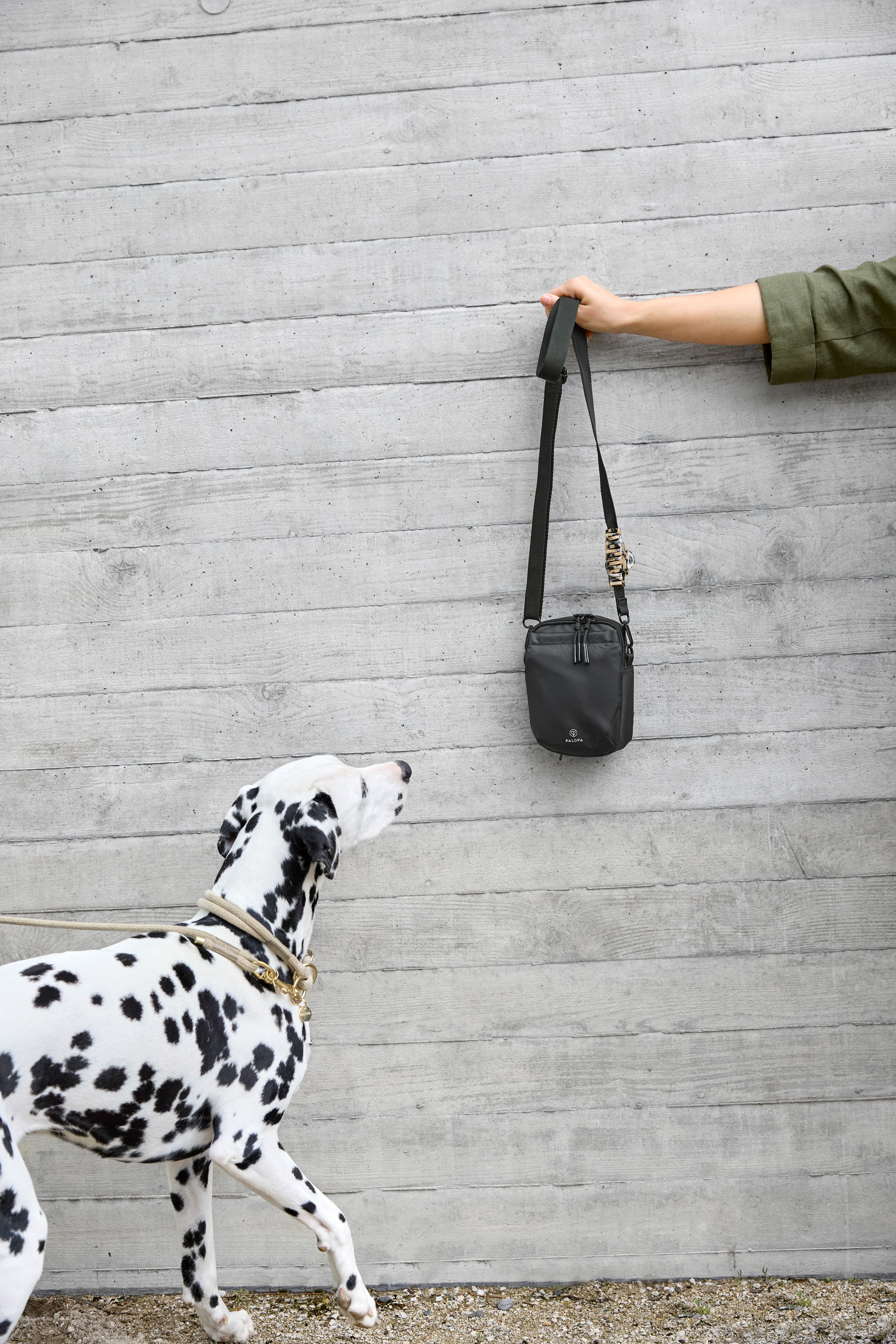 Palopa Dog Snack Bag Greta L black - 16