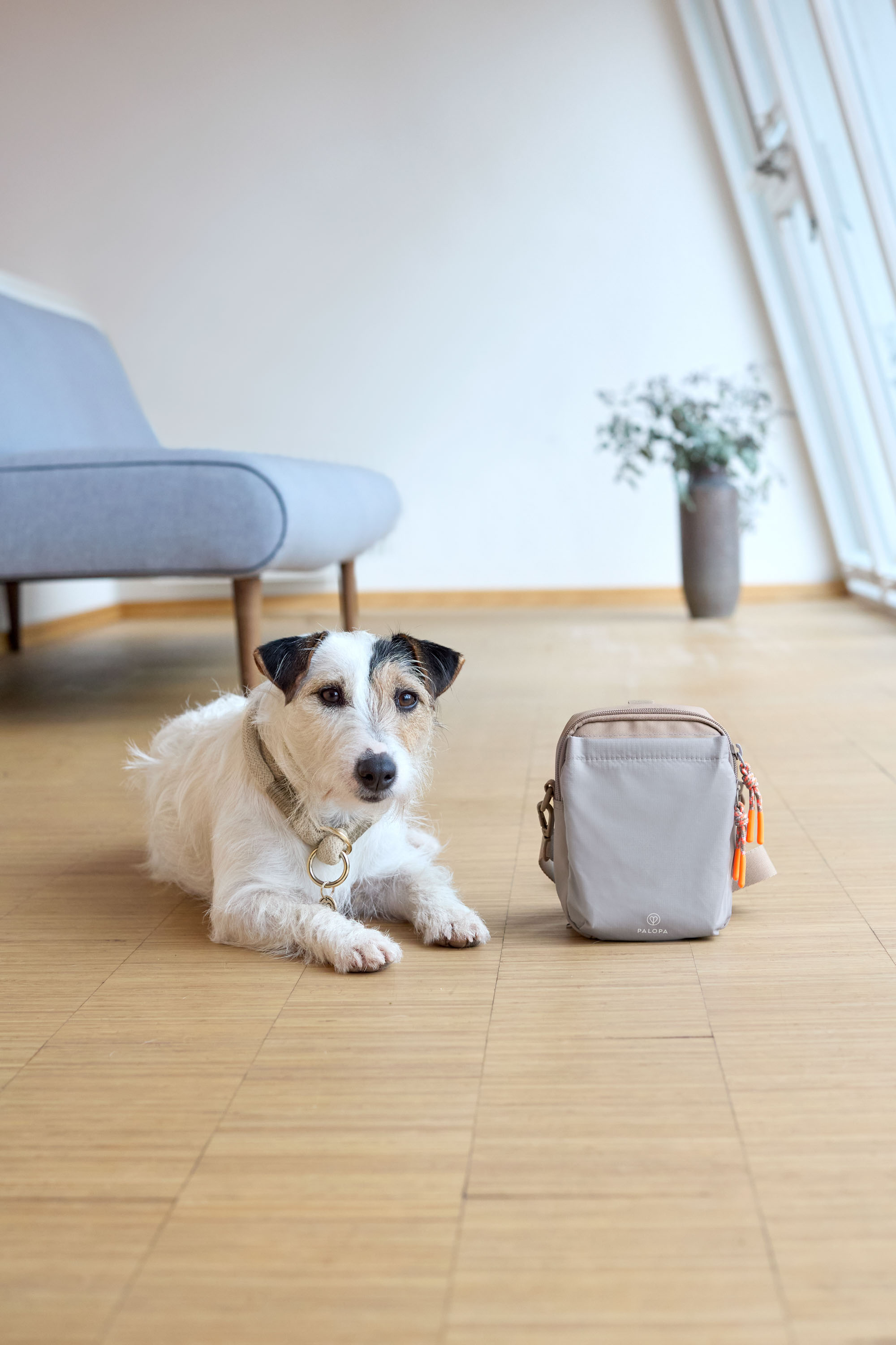Palopa Dog Snack Bag Greta L taupe - 11