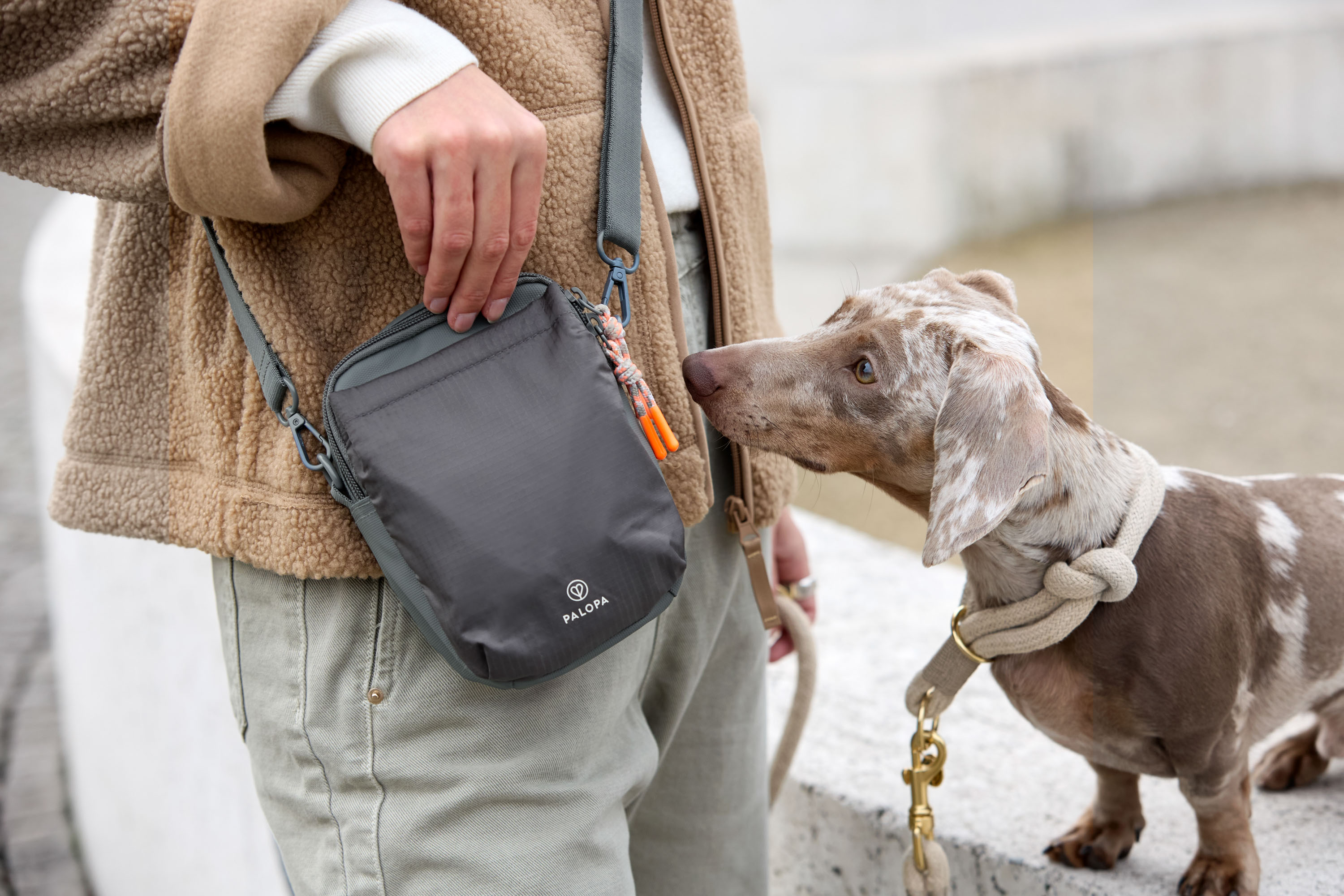 Palopa Dog Snack Bag Greta L dark grey - 11