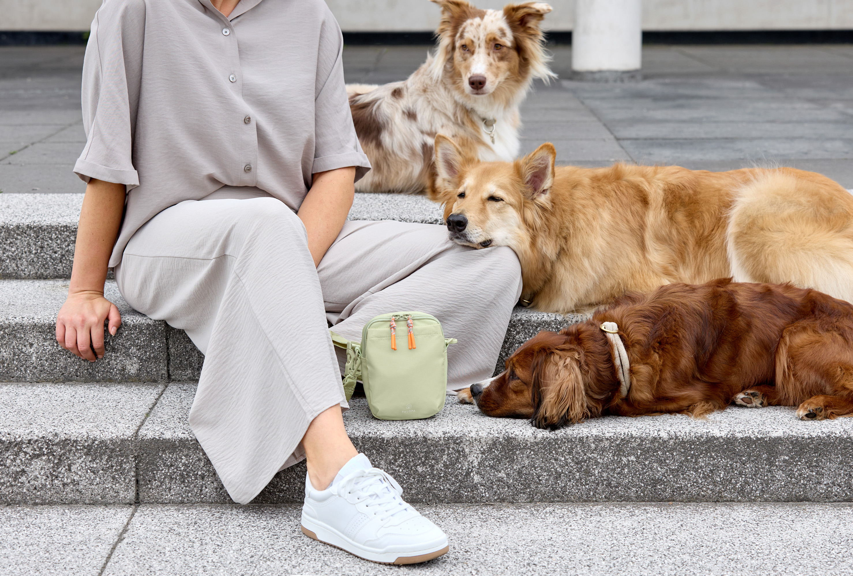 Palopa Dog Snack Bag Greta L pale khaki - 16